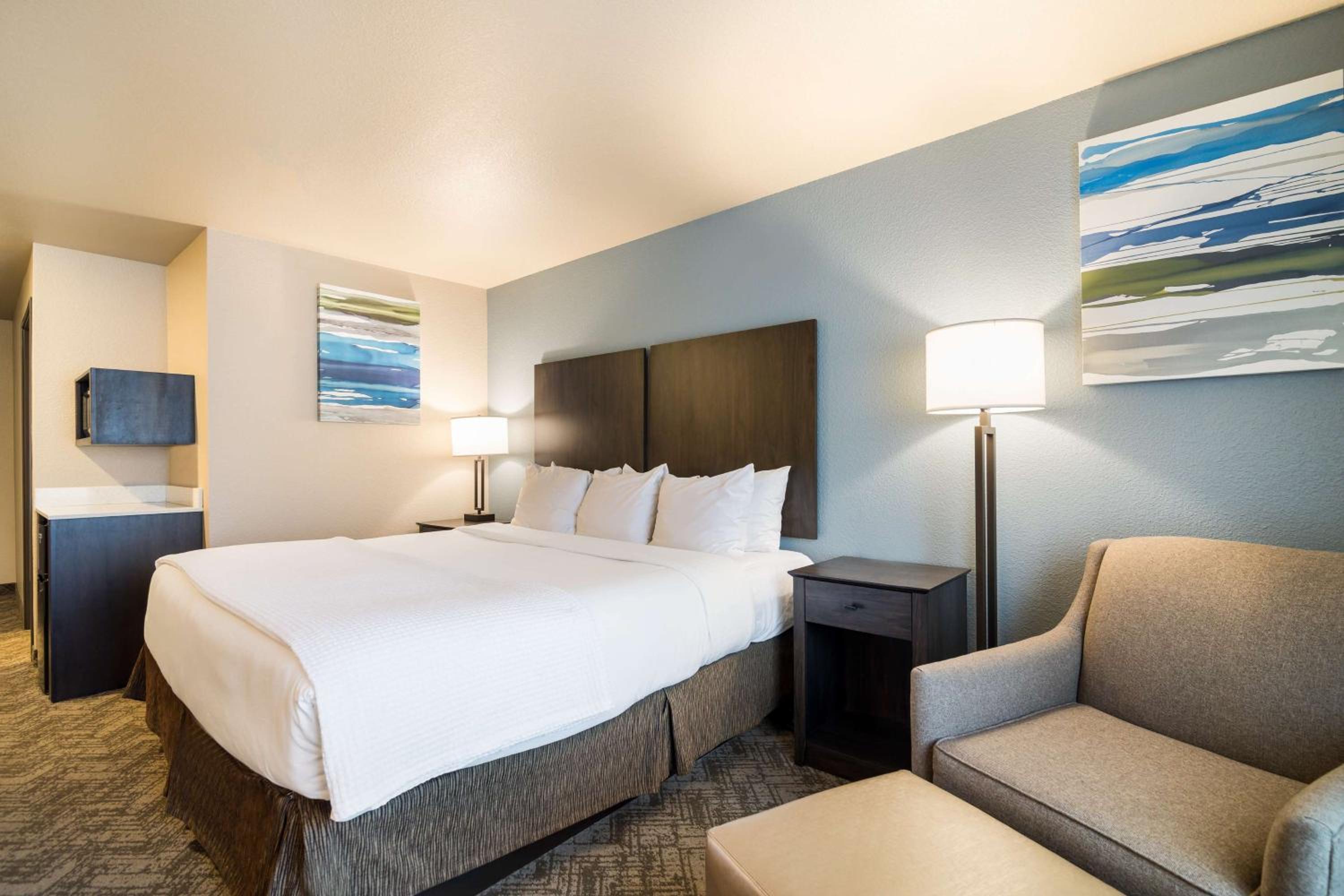 King Room with Mobility Accessible Bathtub - Pet Friendly/Non-Smoking