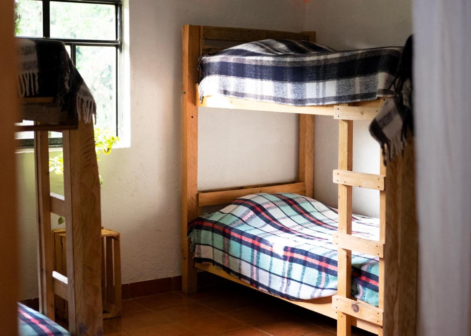 6-Bed Female Dormitory Room photo 3