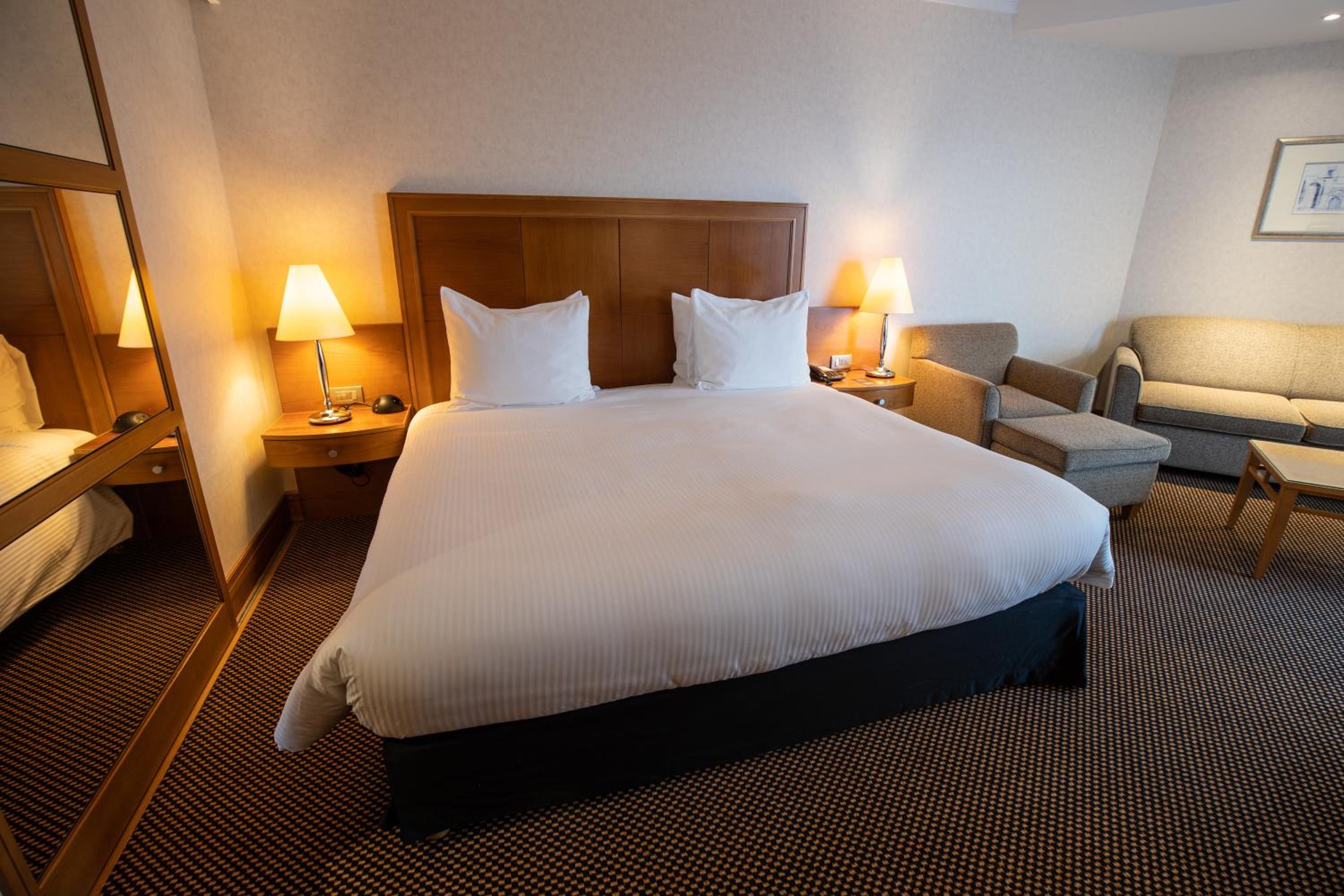 Junior King Suite with Park View - Photo 5