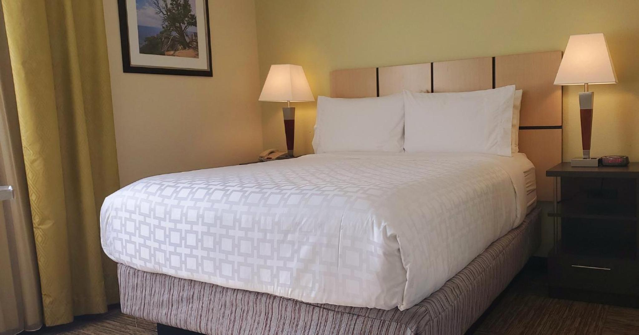 One-Bedroom Queen Suite - Photo 8