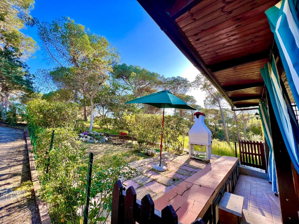 Apartment with Garden View