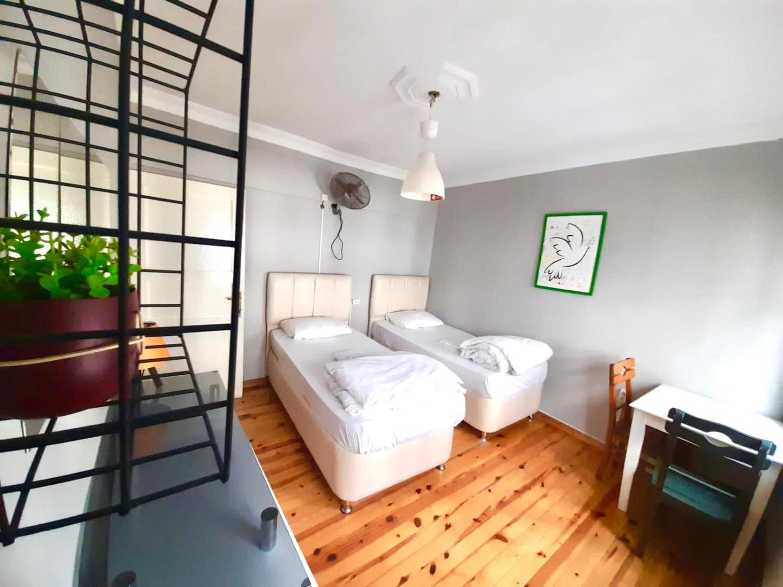 Twin Room photo 1