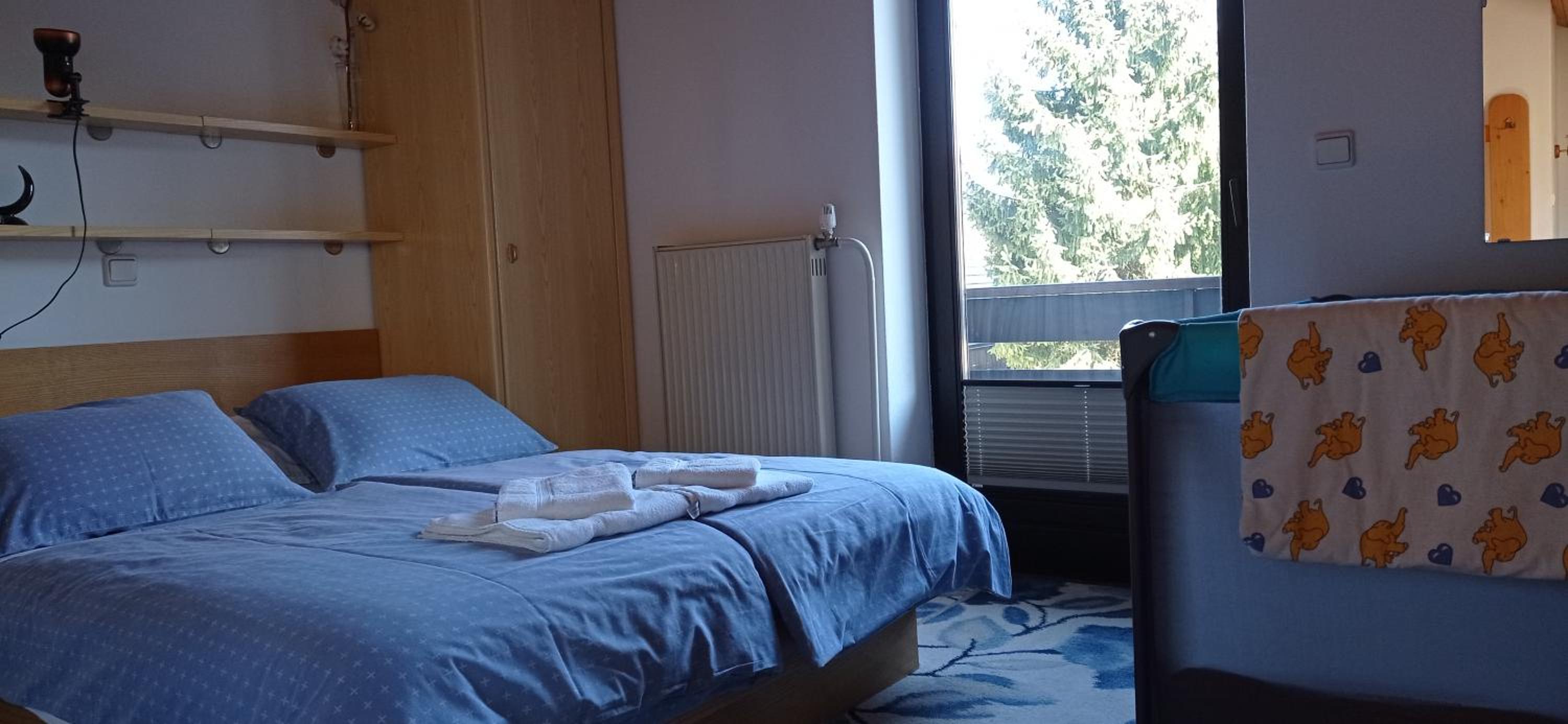 One-Bedroom Apartment with Balcony (3 Adults) photo 1