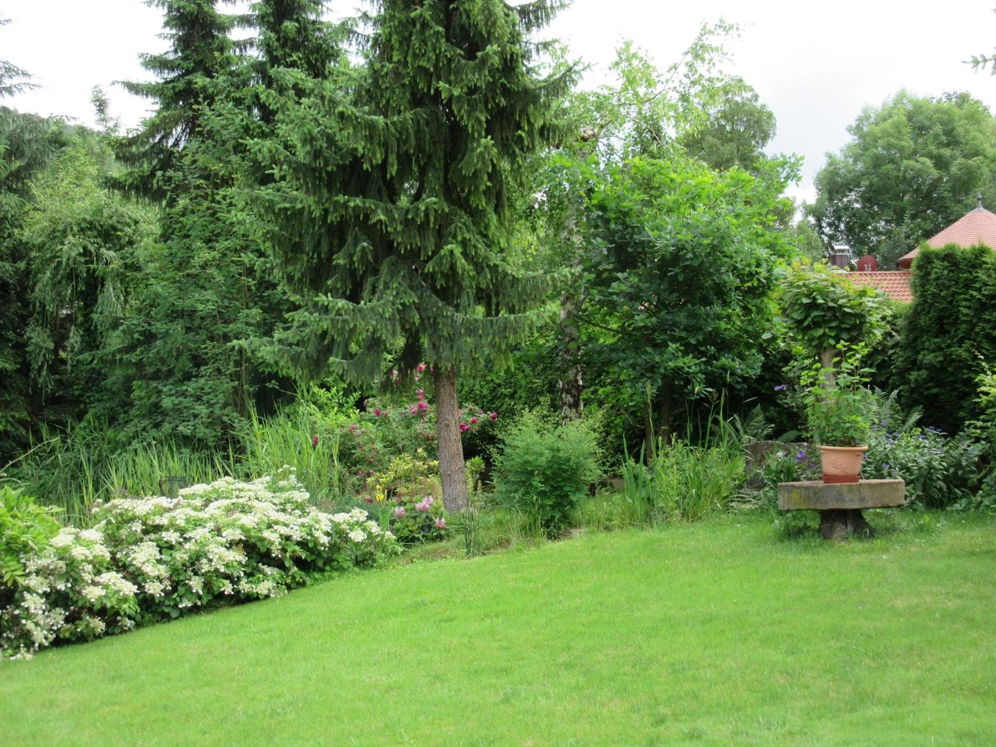 Apartment with Terrace photo 3