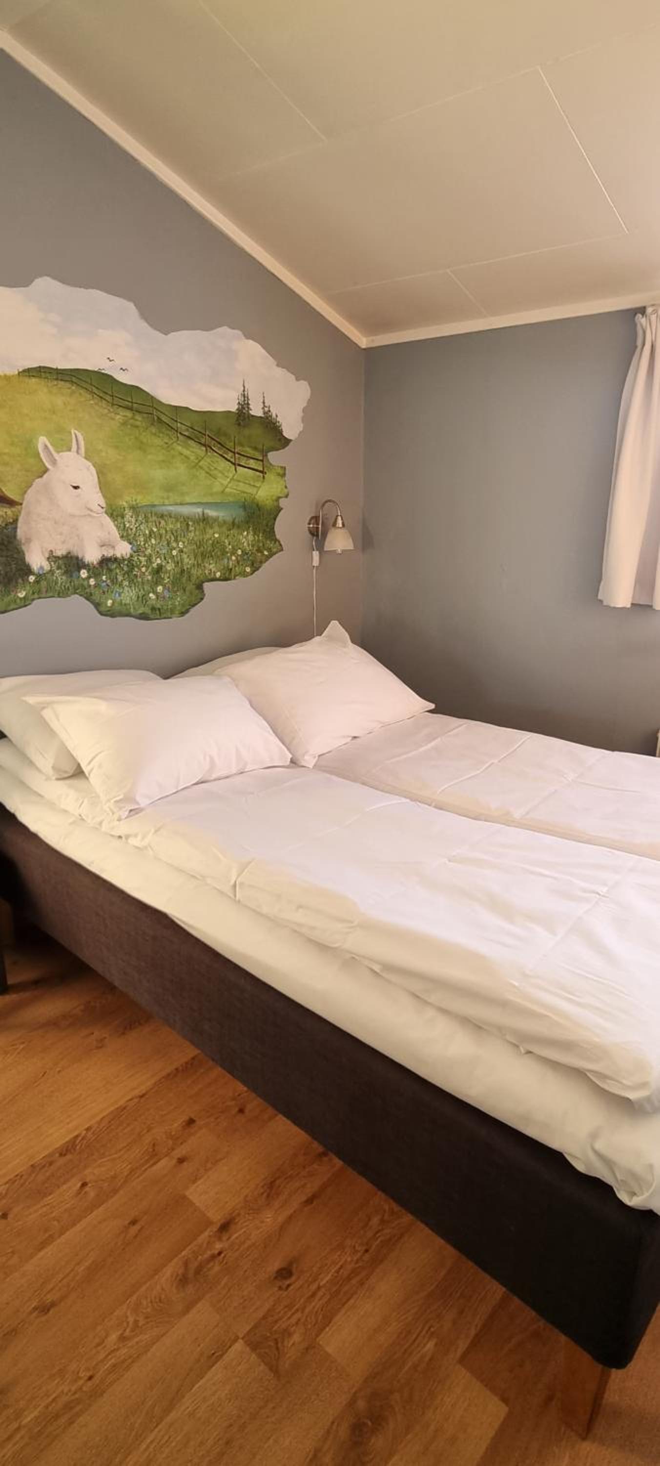 Superior Double Room photo 2