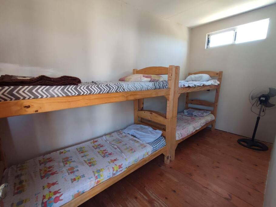 Bed in 4-Bed Mixed Dormitory Room photo 3