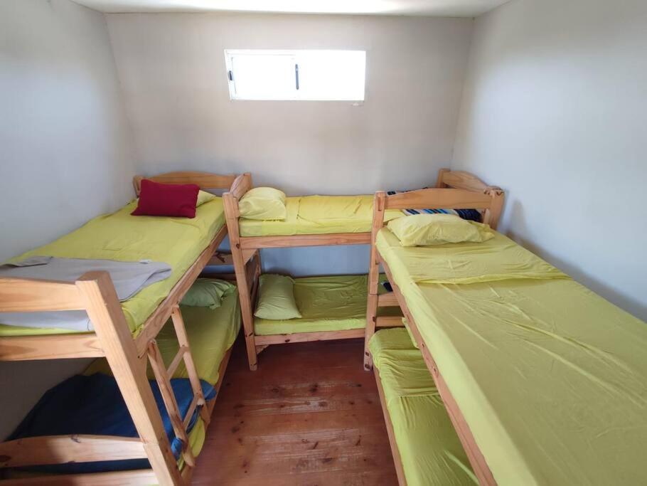 Bed in 6-Bed Dormitory Room photo 2