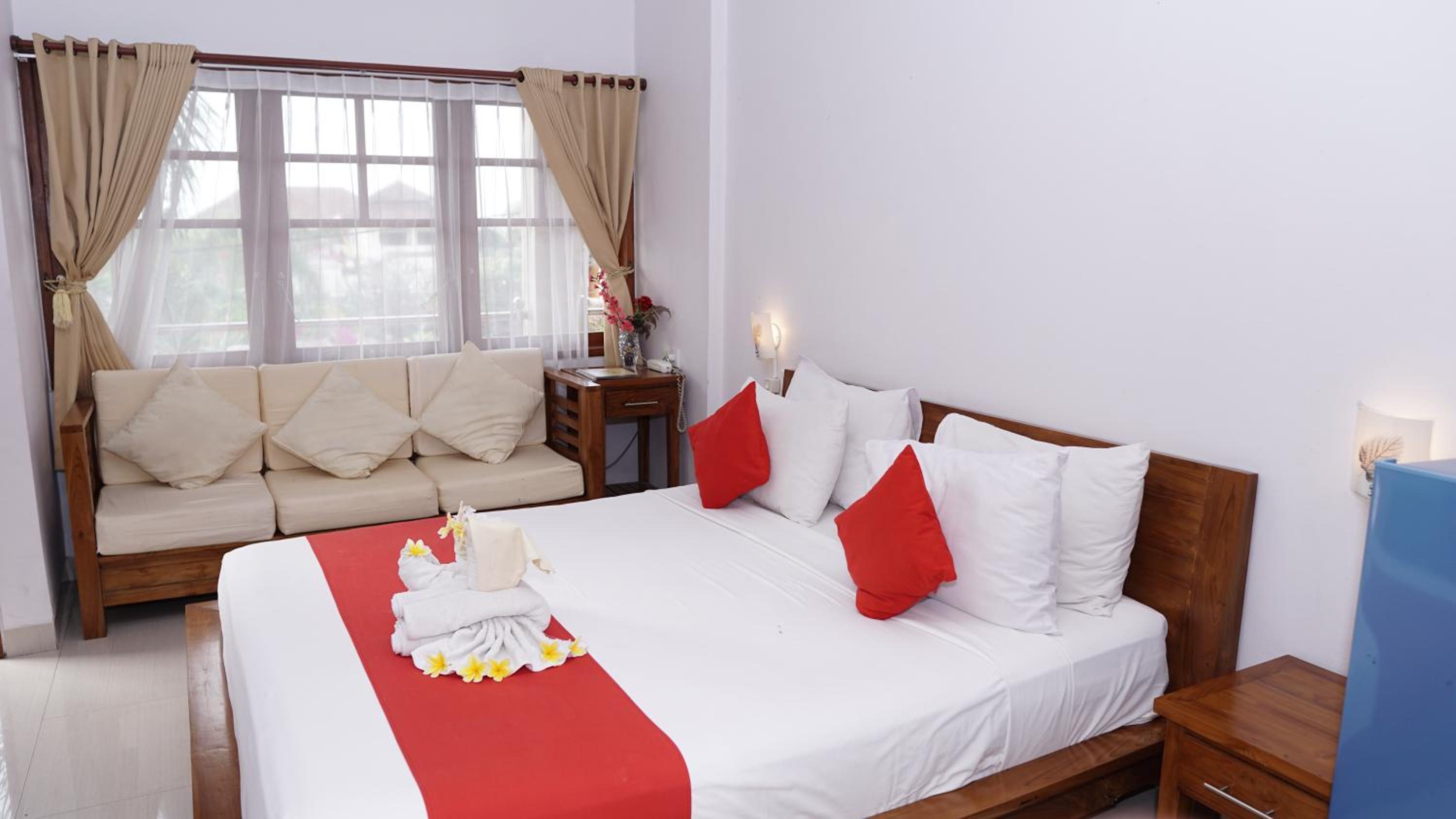 Superior Room + Dolphin Tour