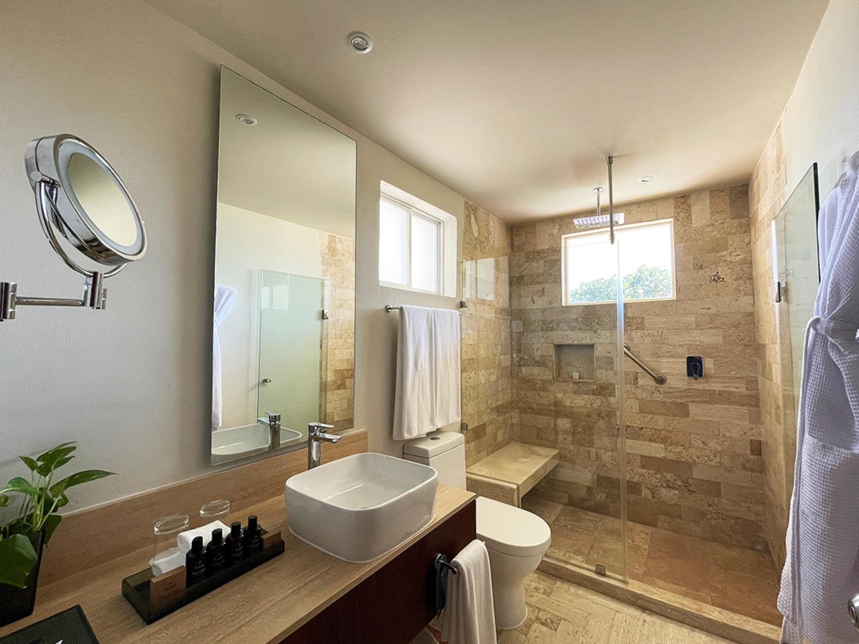 Villa Junior Suite Plunge Pool thumbnail 6