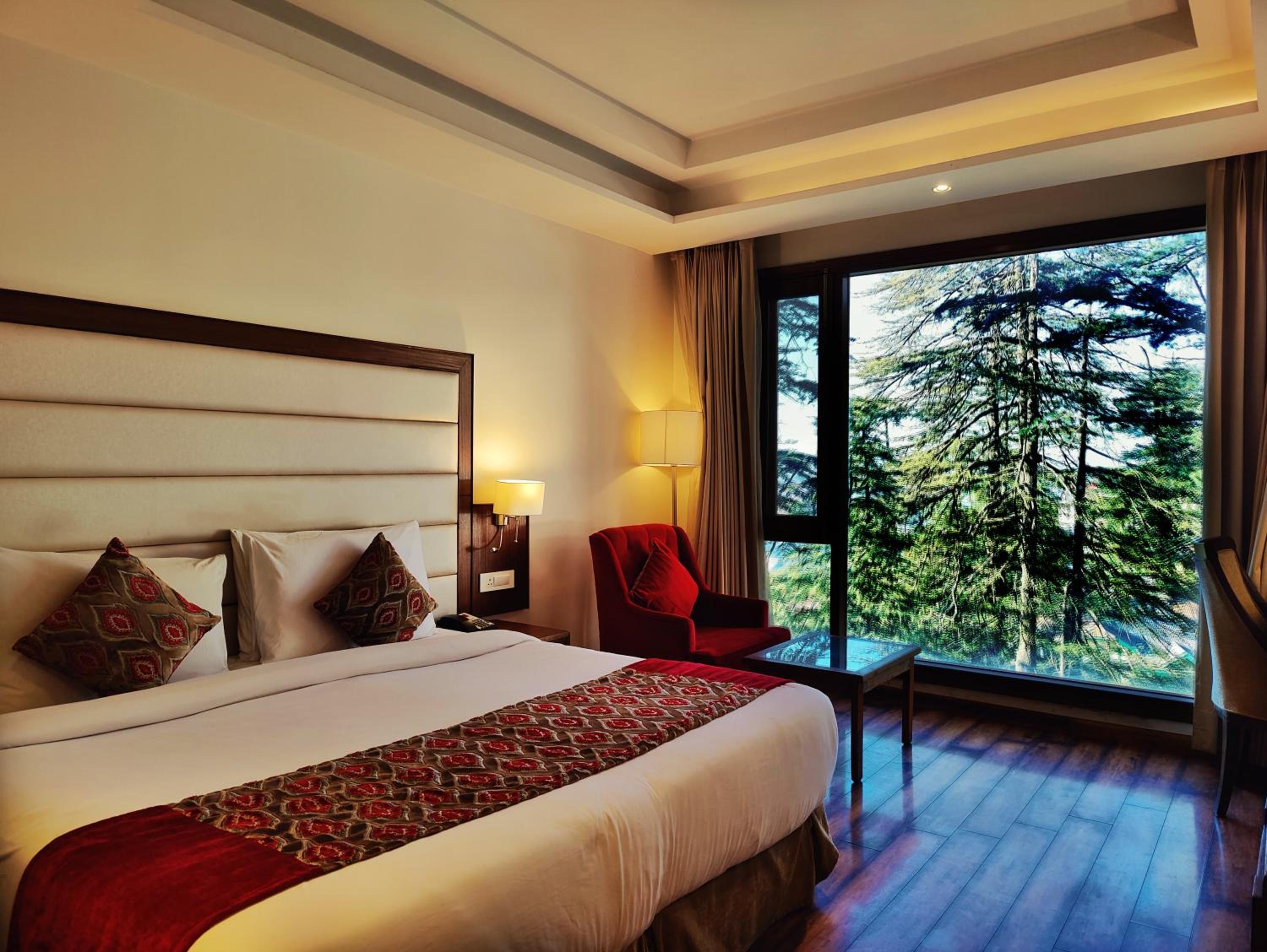 Deluxe King Room photo 1
