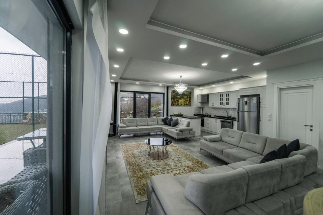 Standard Villa - Photo 10