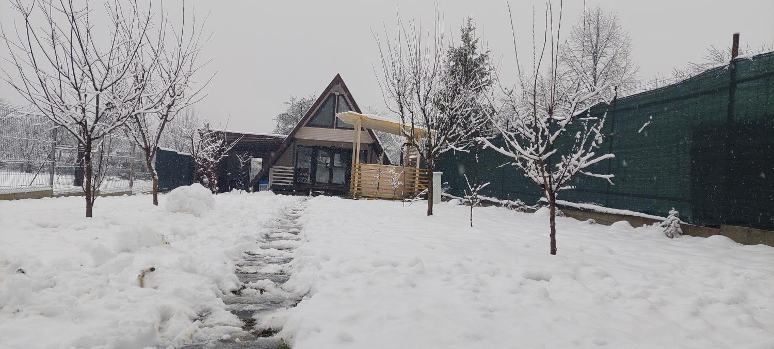 Two-Bedroom House - Photo 23