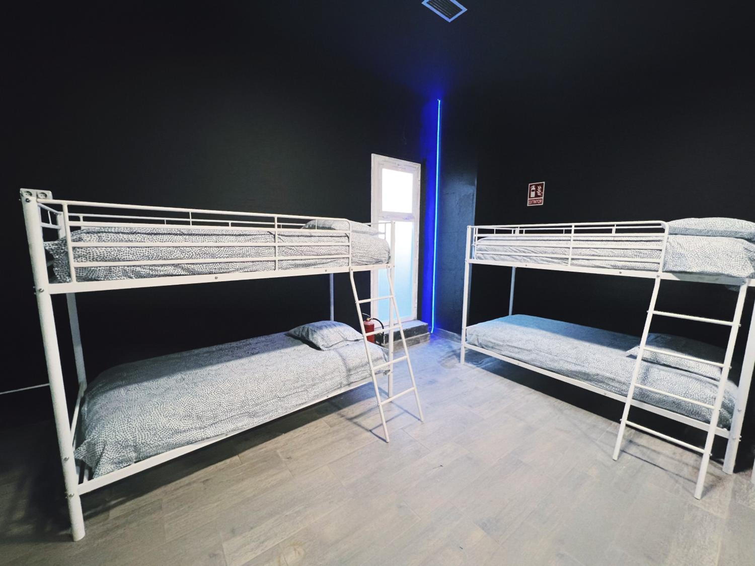 Bunk Bed in Mixed Dormitory Room photo 3