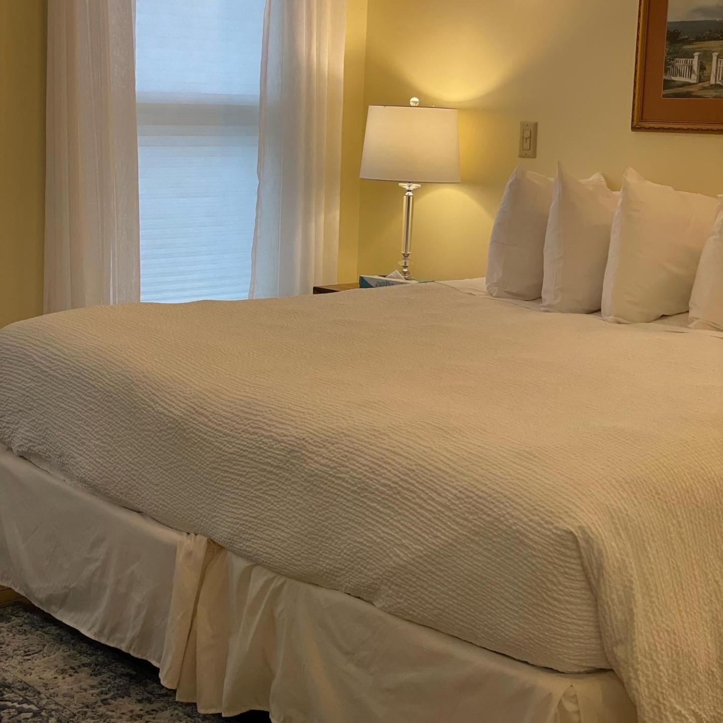 Double or Twin Room photo 1