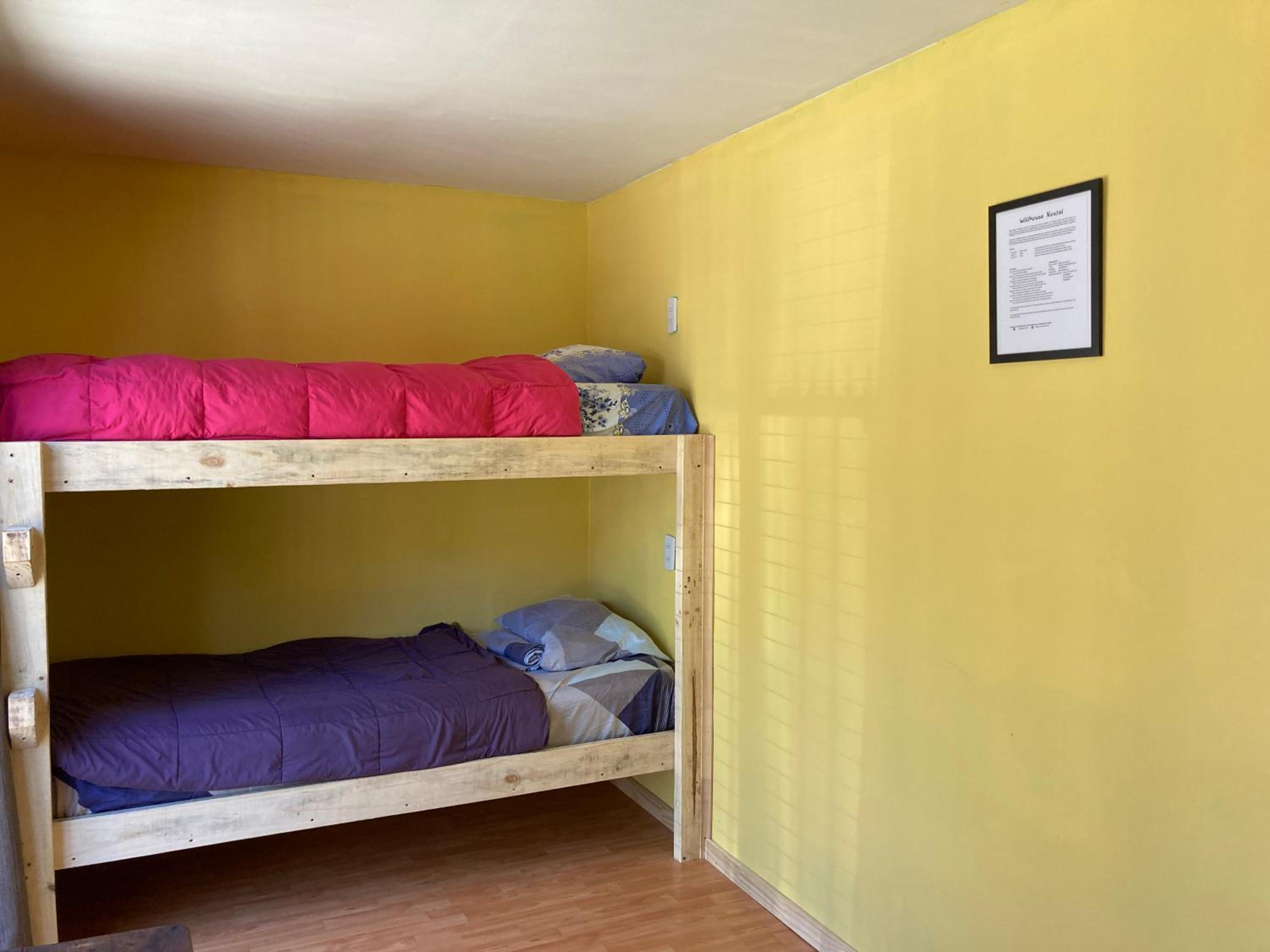 Bed in 4-Bed Mixed Dormitory Room photo 1