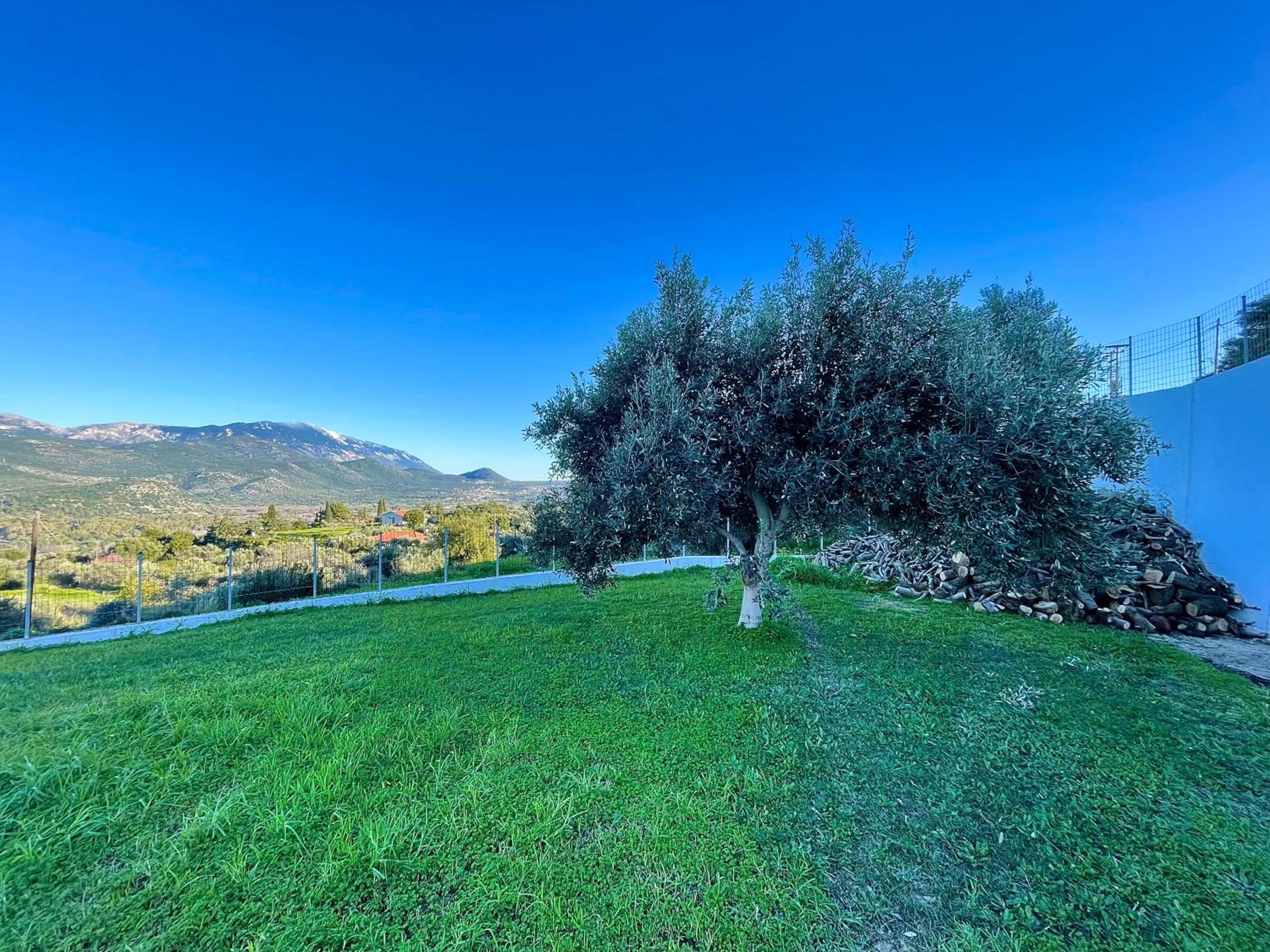 Three-Bedroom Villa photo 3