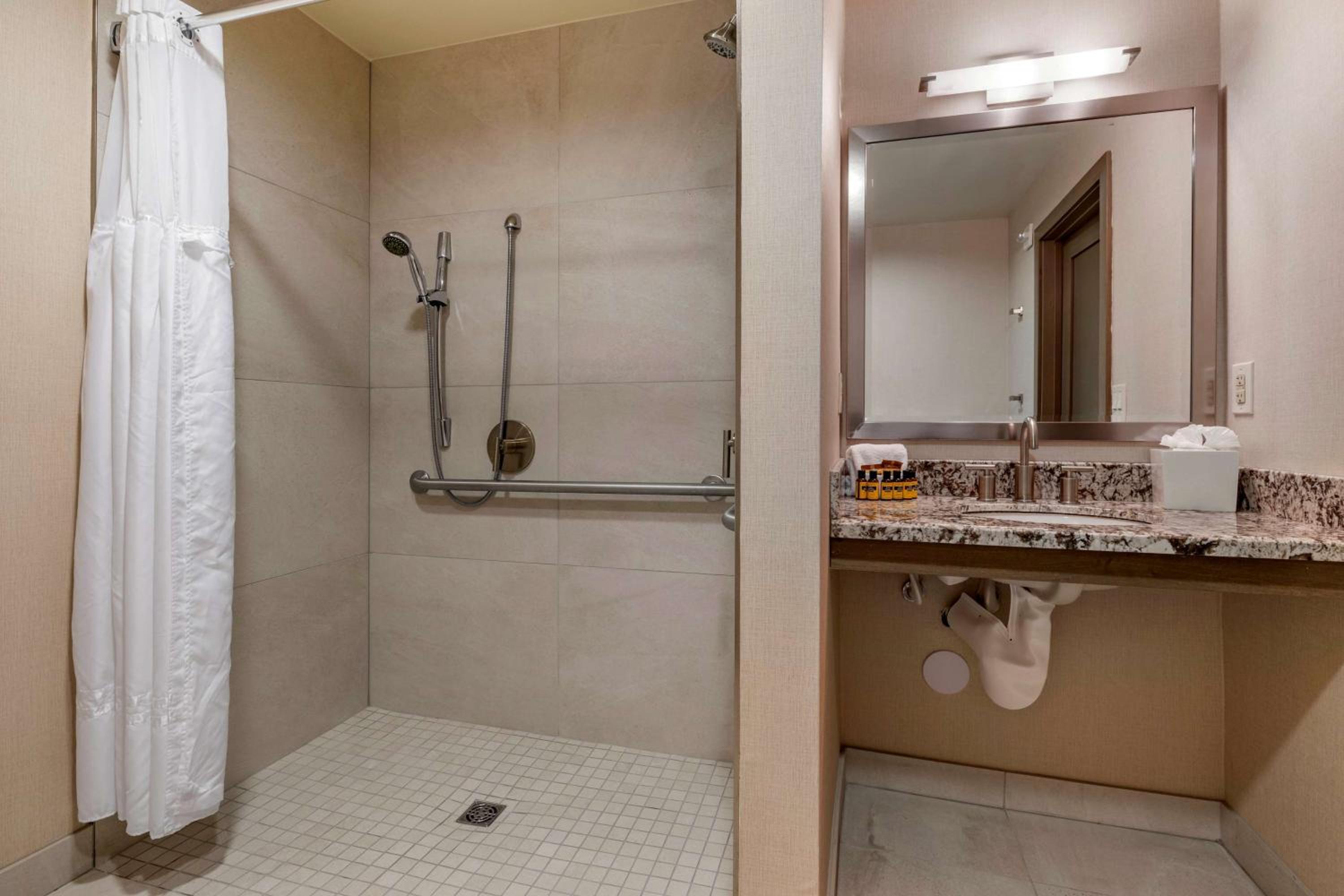 King Room with Roll In Shower-Disability Access - Photo 2
