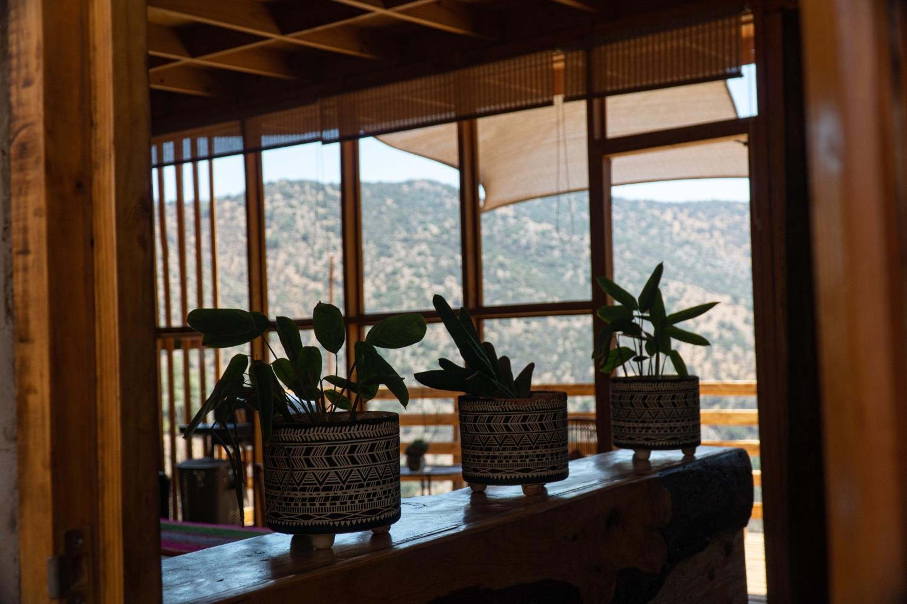 Suite with Mountain View photo 3