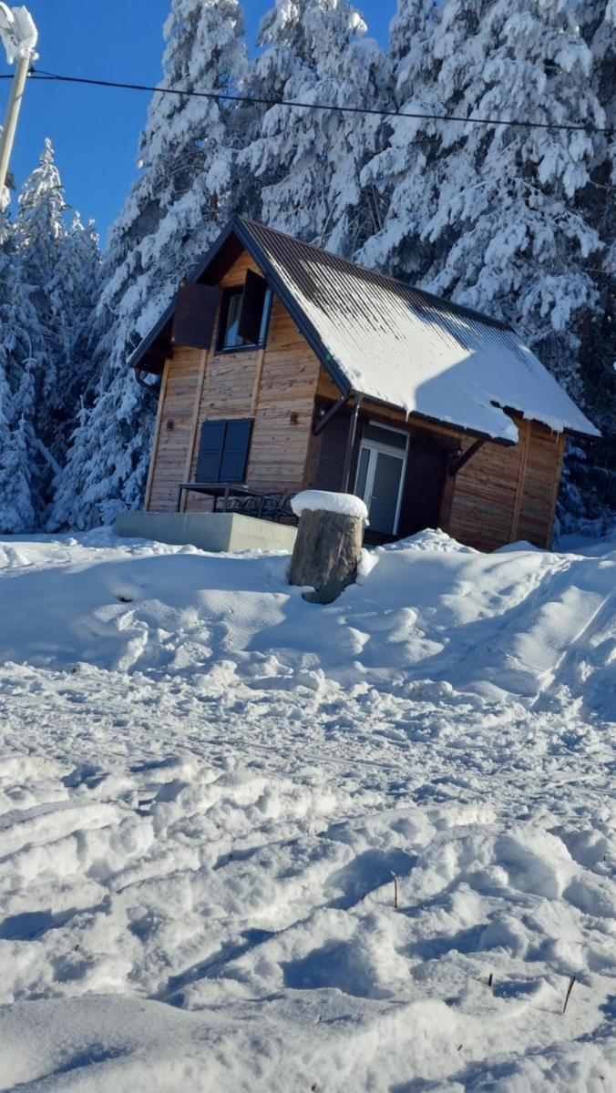Two-Bedroom Chalet photo 1