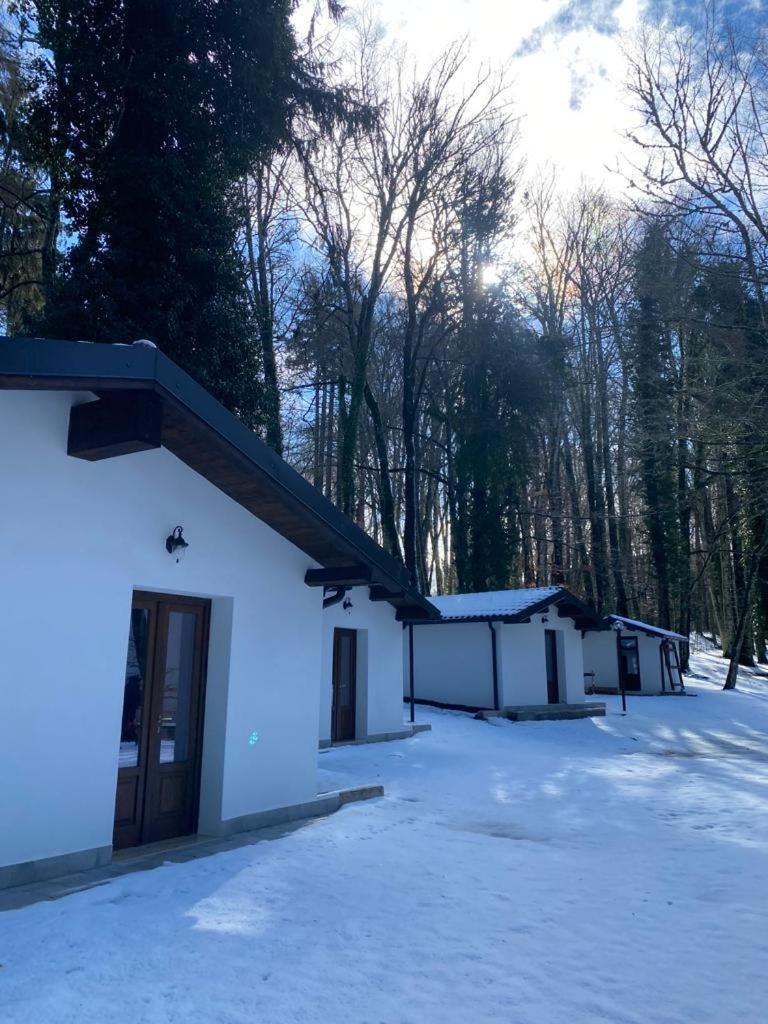 Chalet - Photo 5