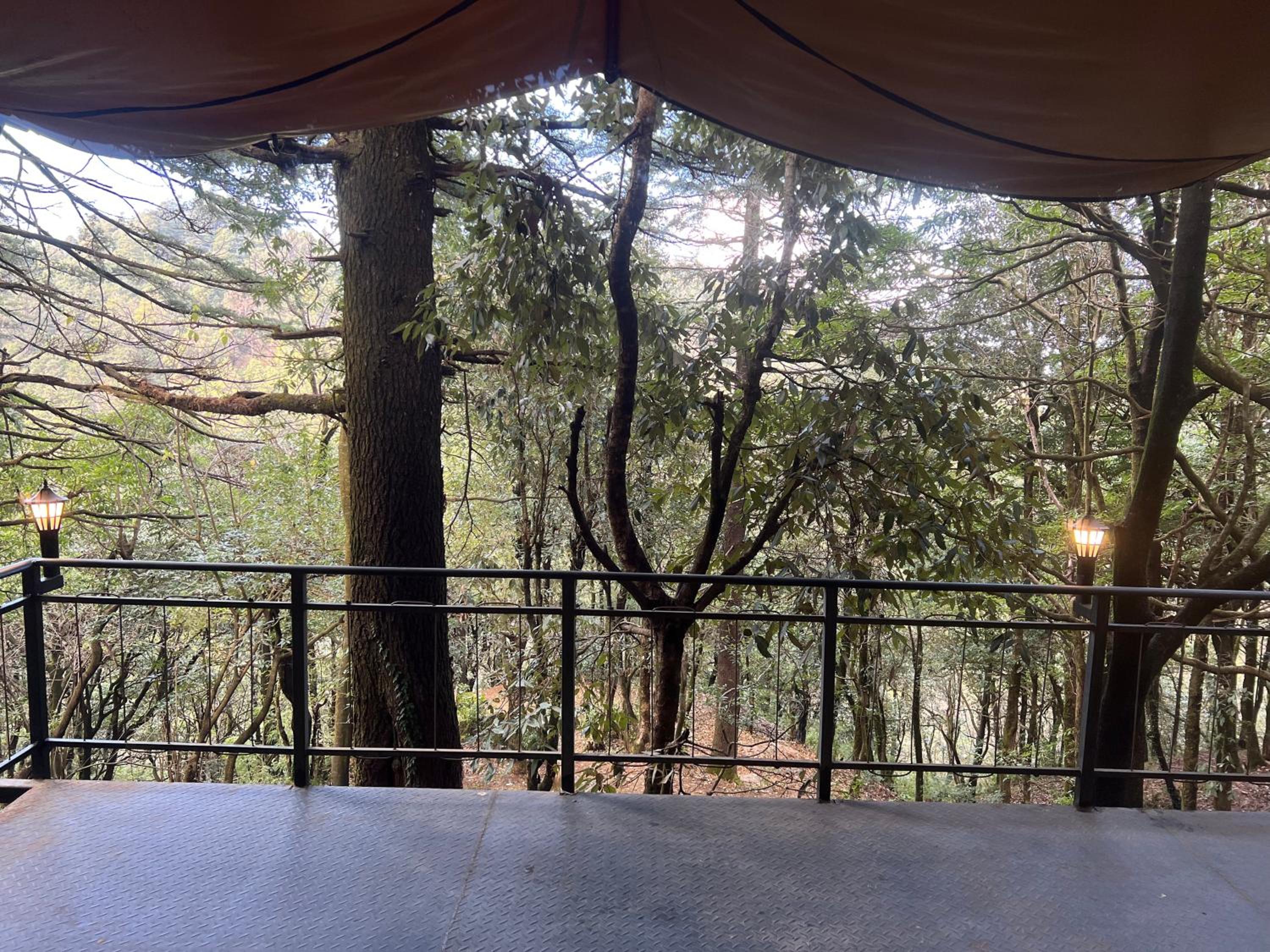 Surveyor Grand Suite Forest Valley View - Photo 4