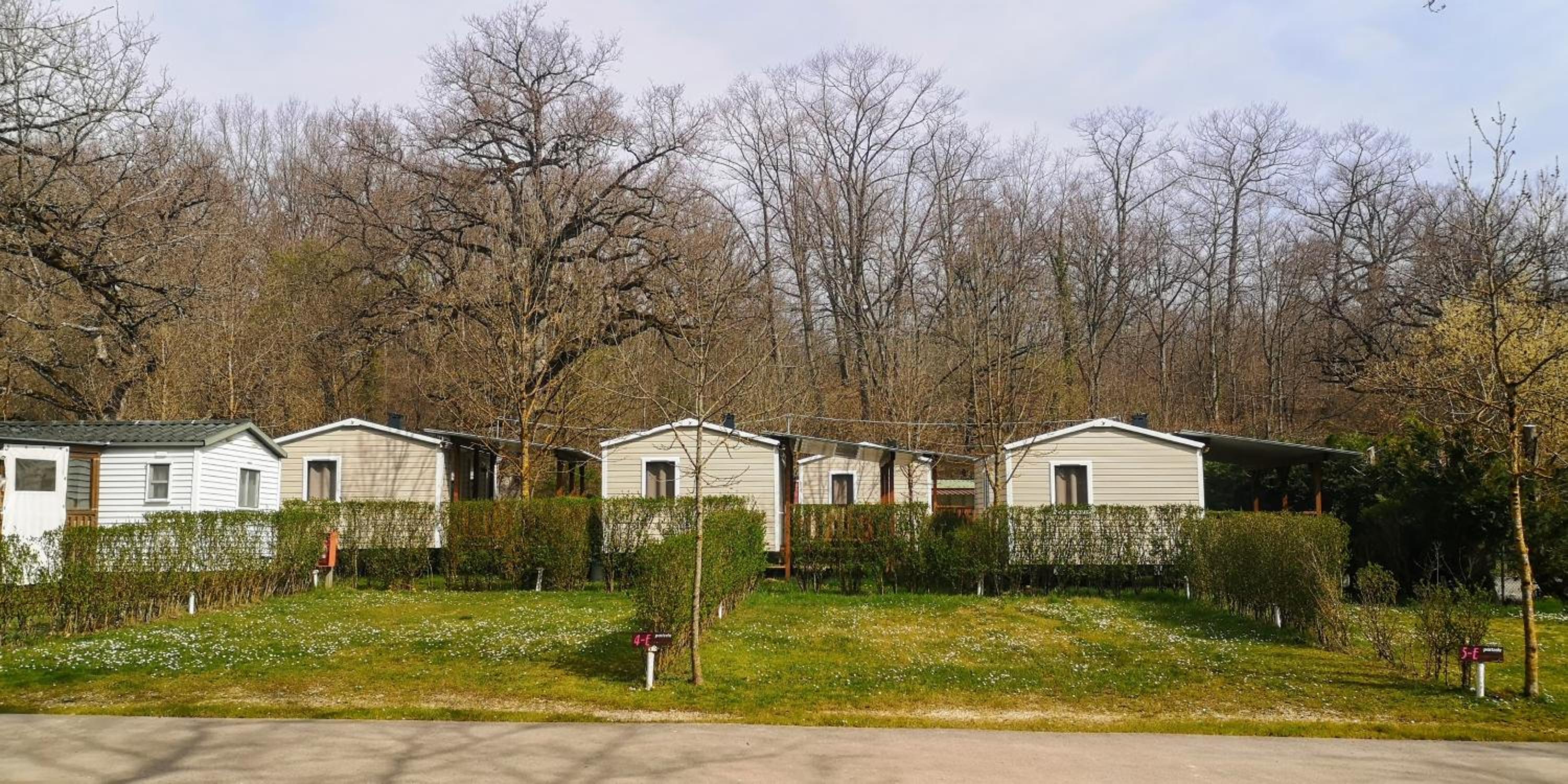 Mobile Home photo 2
