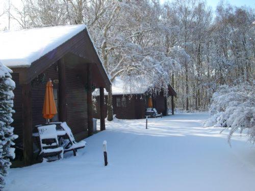 Vacation Home photo 1
