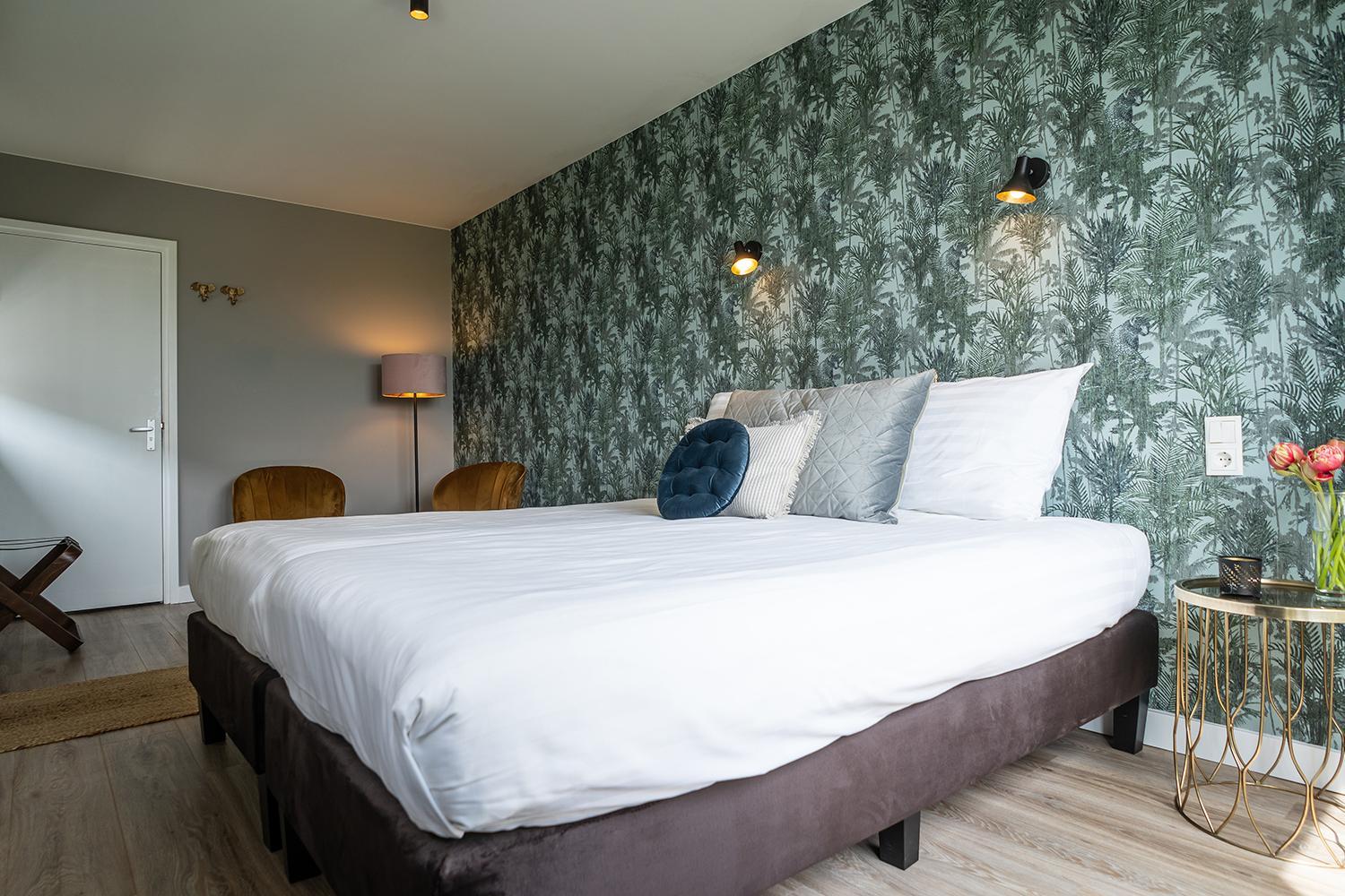 Suite - Photo 1