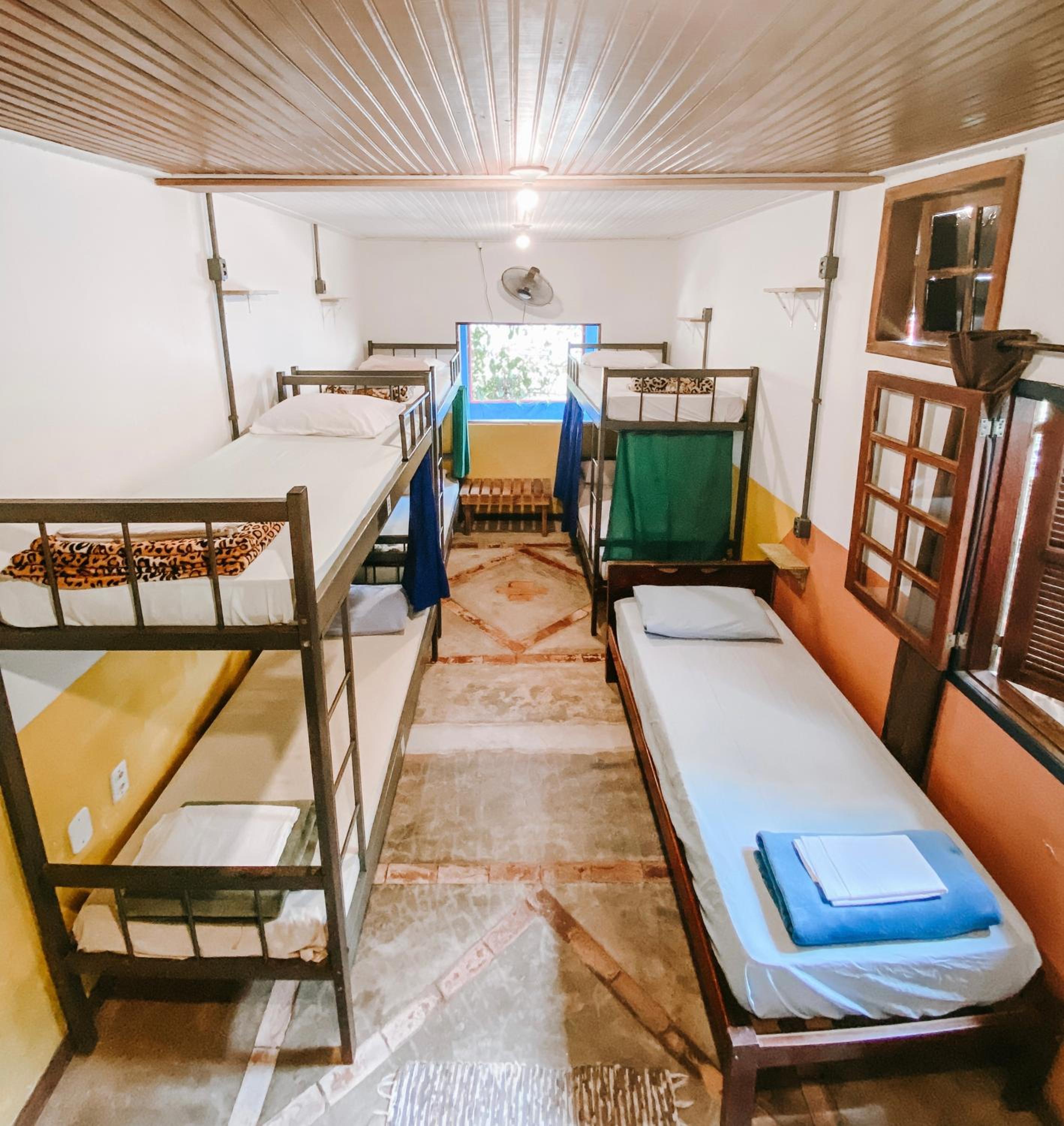Bunk Bed in Mixed Dormitory Room