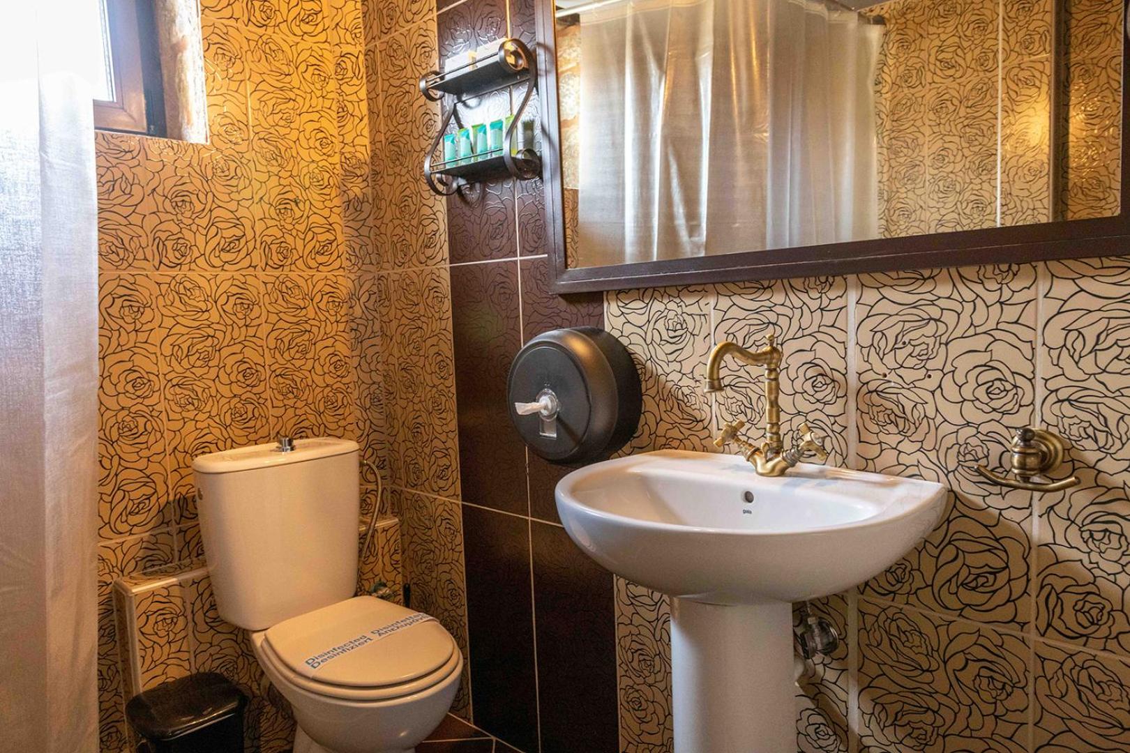 Deluxe Suite - Photo 14