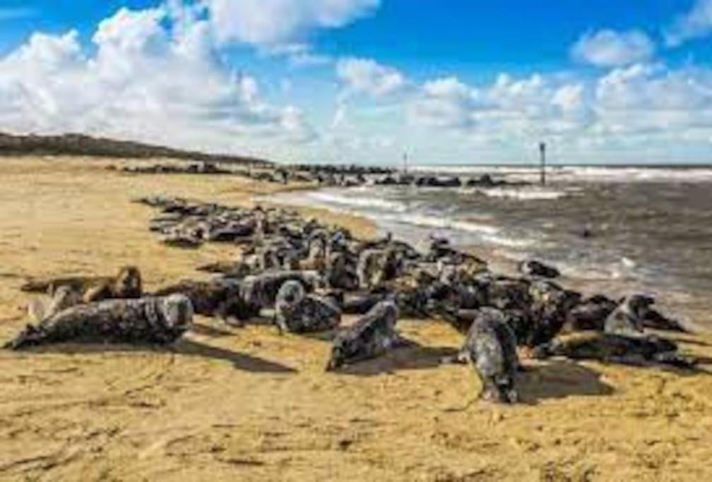 Two-Bedroom Chalet photo 3