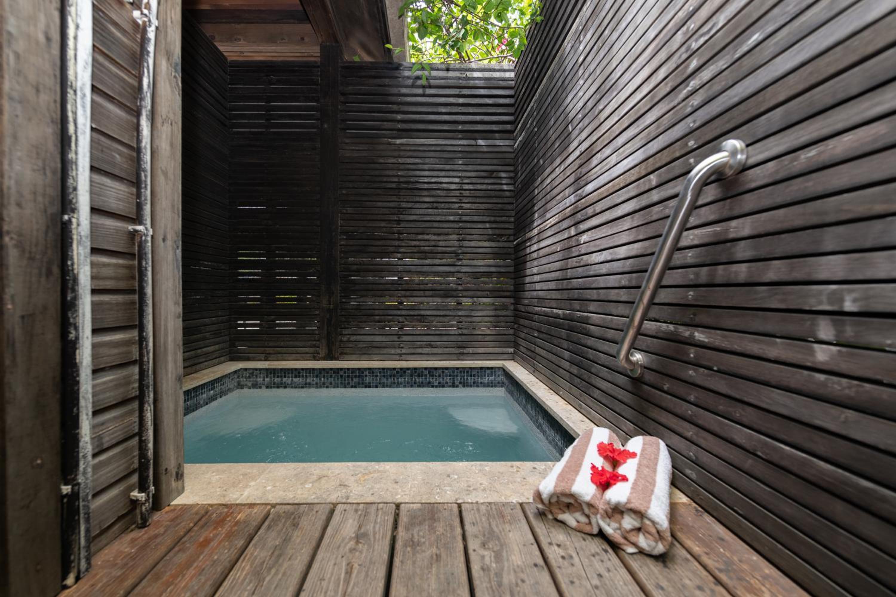 Deluxe King Suite with Ensuite Private Mini Pool photo 3