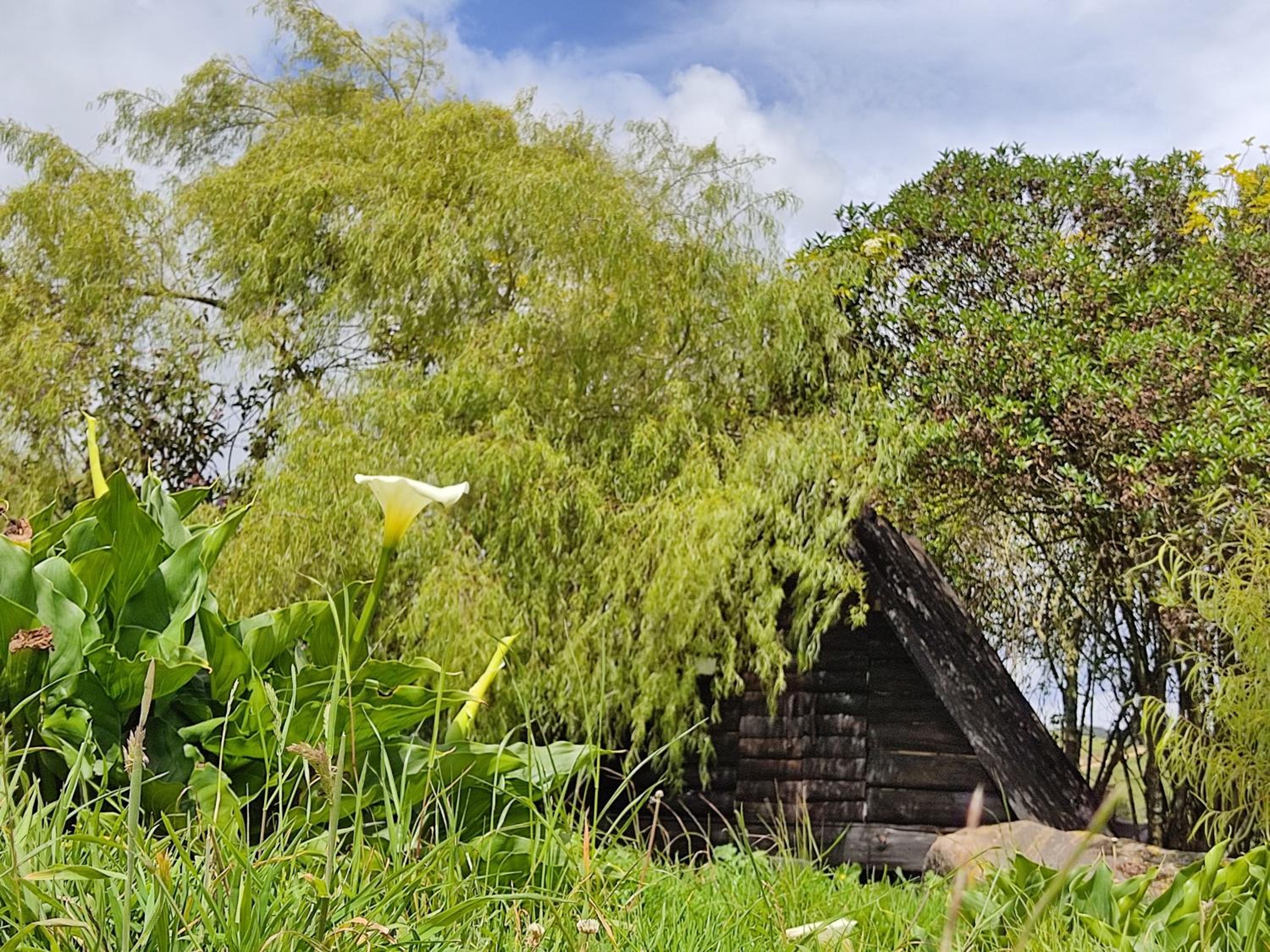 Chalet photo 3