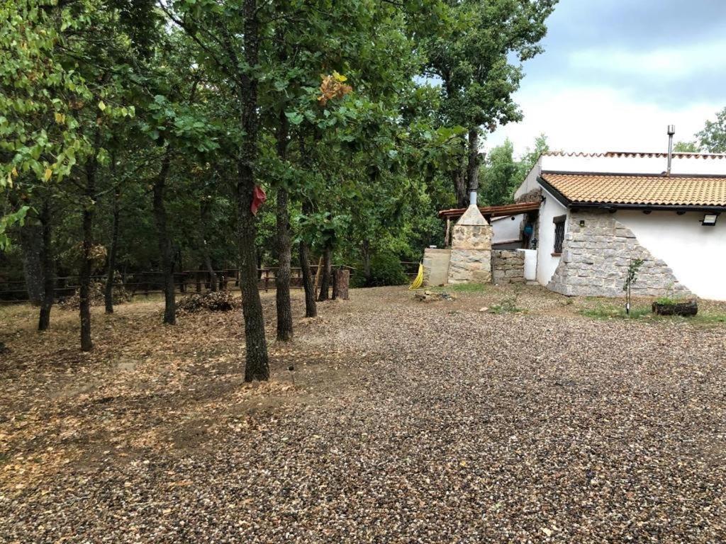 One-Bedroom House - Photo 27