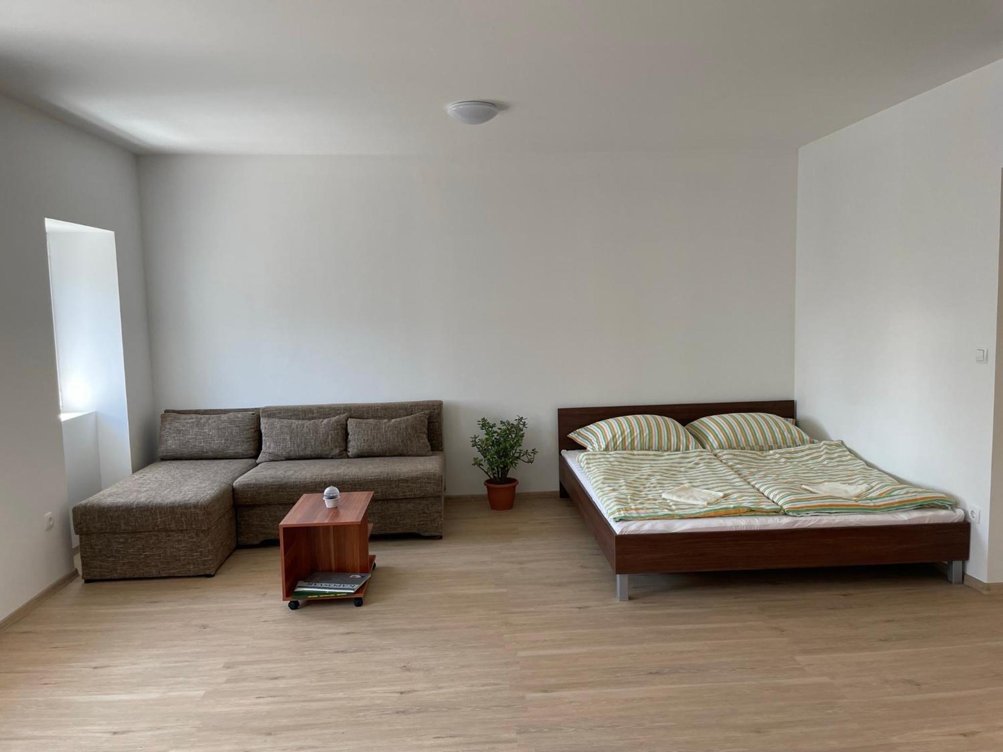 One-Bedroom Apartment - Photo 1