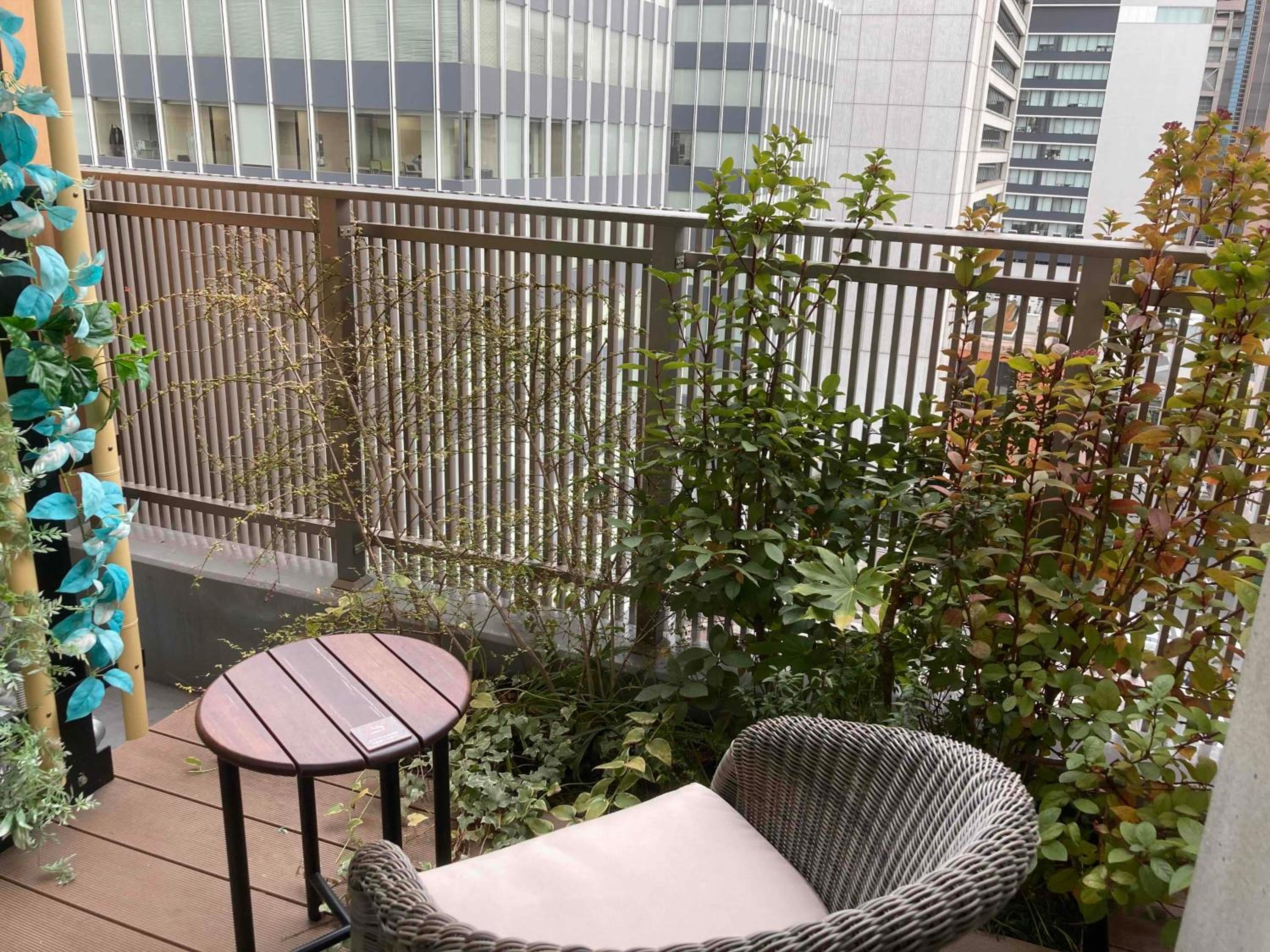 Triple Room with Terrace photo 2