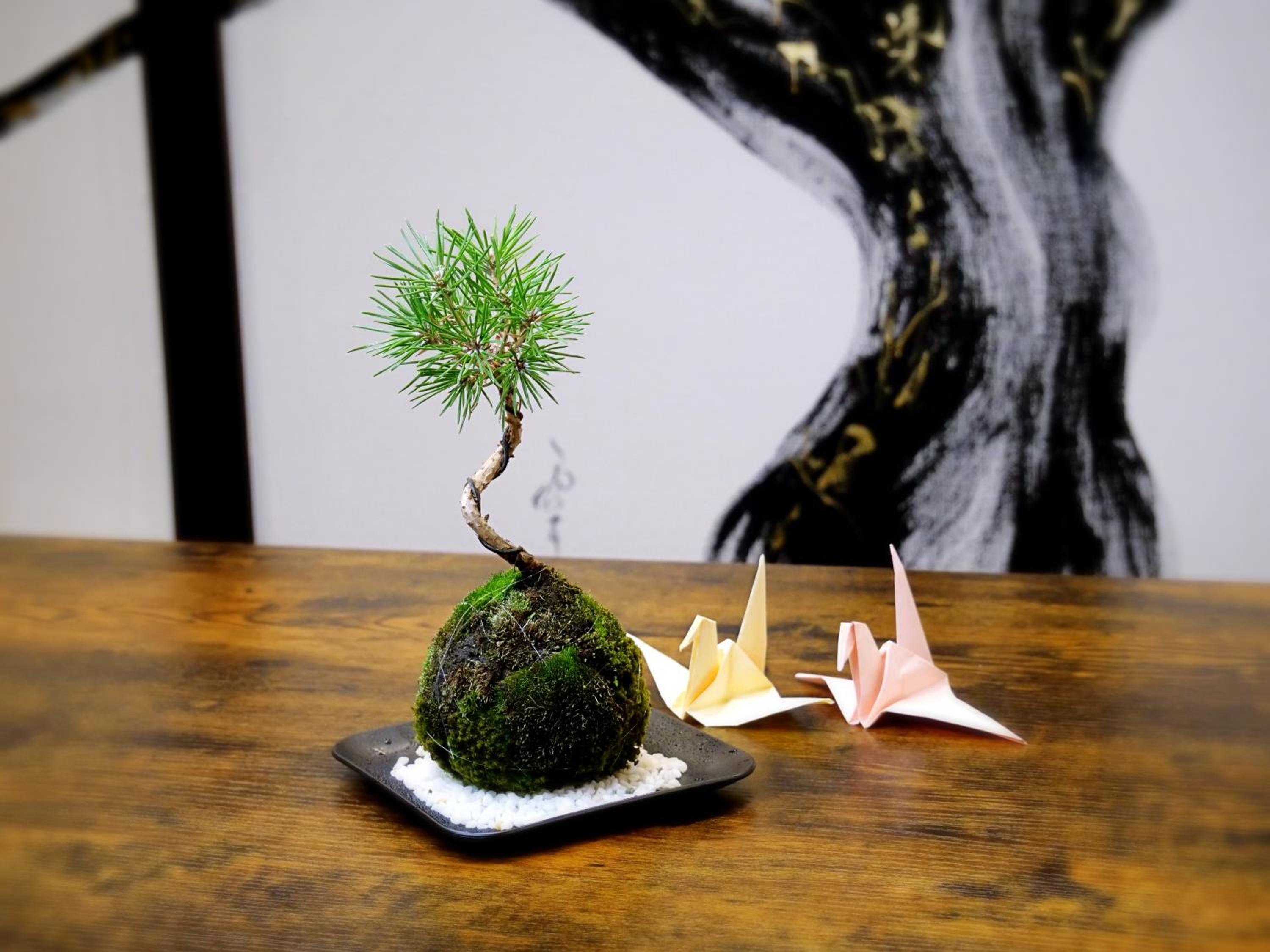 Japanese-Style Room - Photo 28