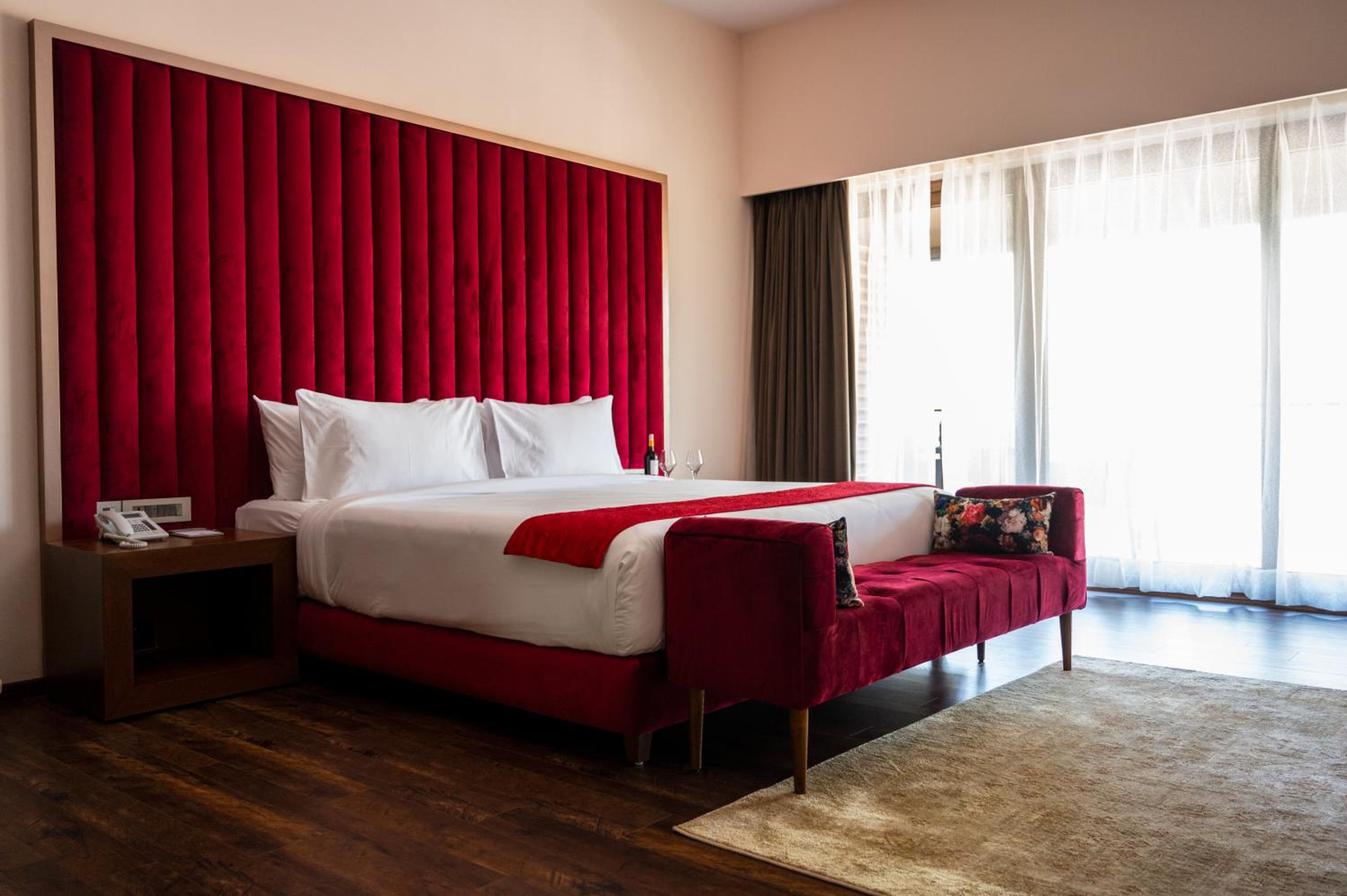 Suite - Photo 4