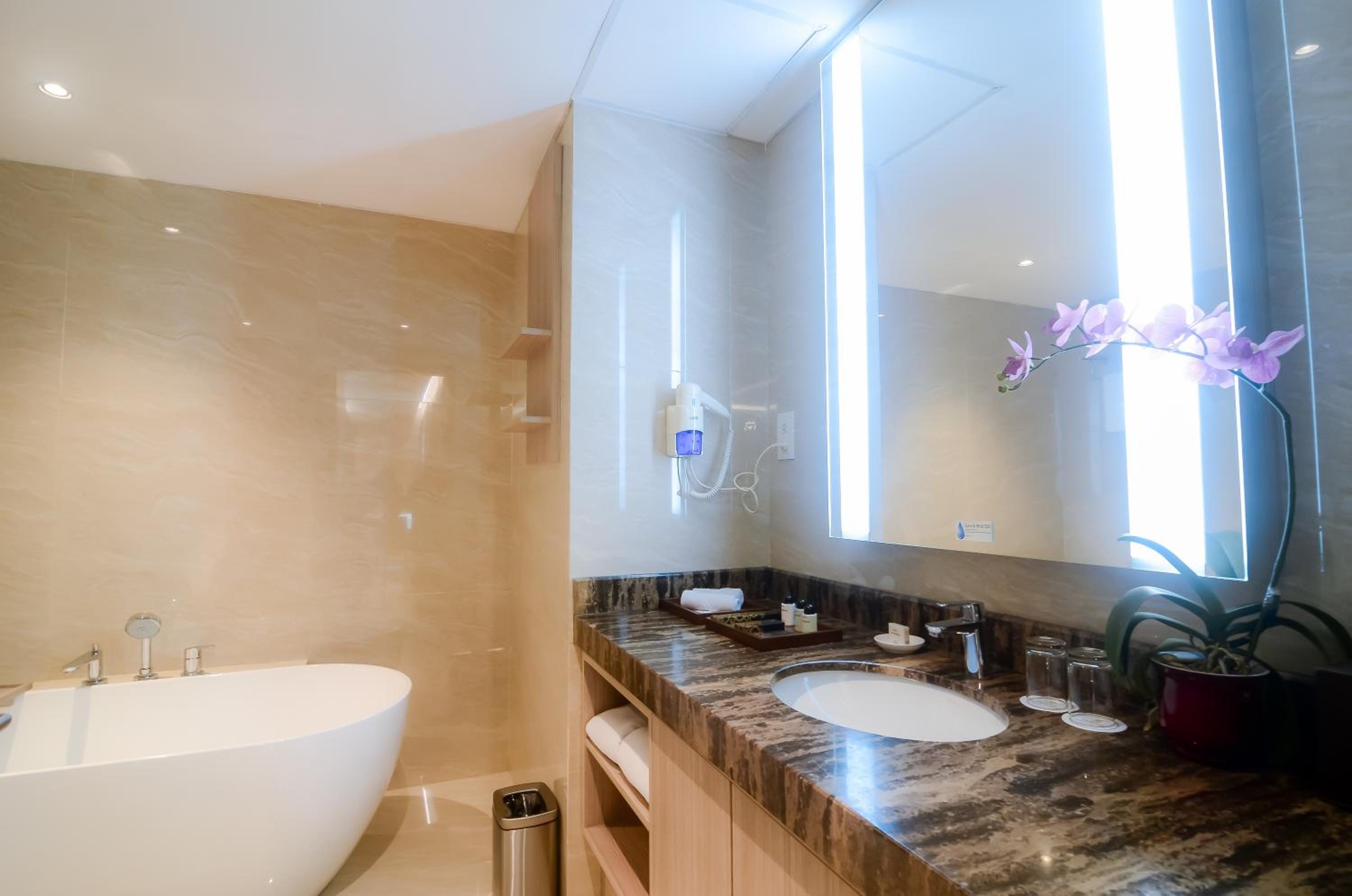 Suite - Photo 2