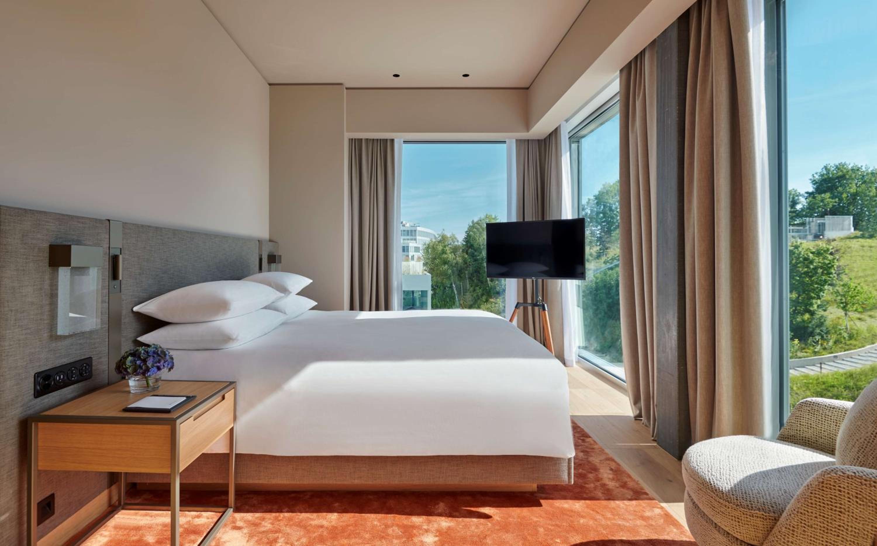 Suite - Photo 1