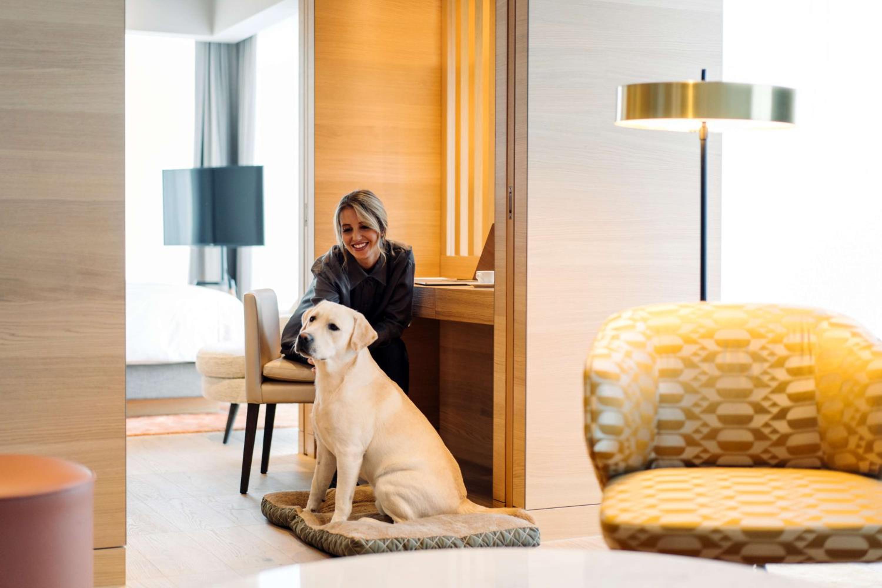 Suite - Photo 9