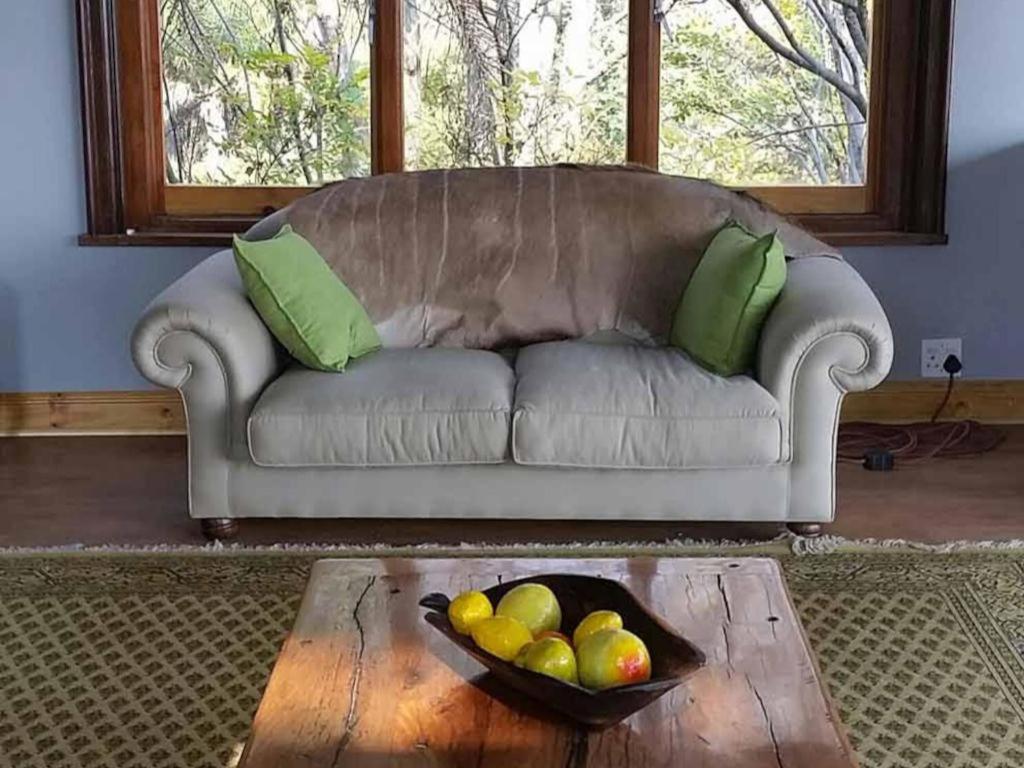 Comfort Chalet - Photo 2