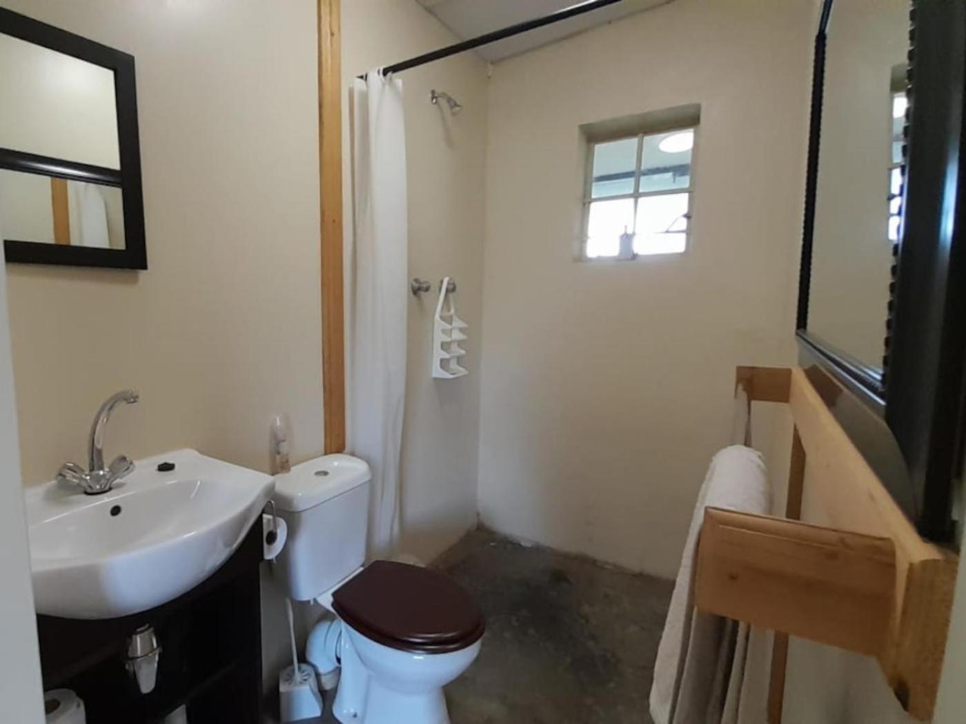 Comfort Twin Room - Photo 6