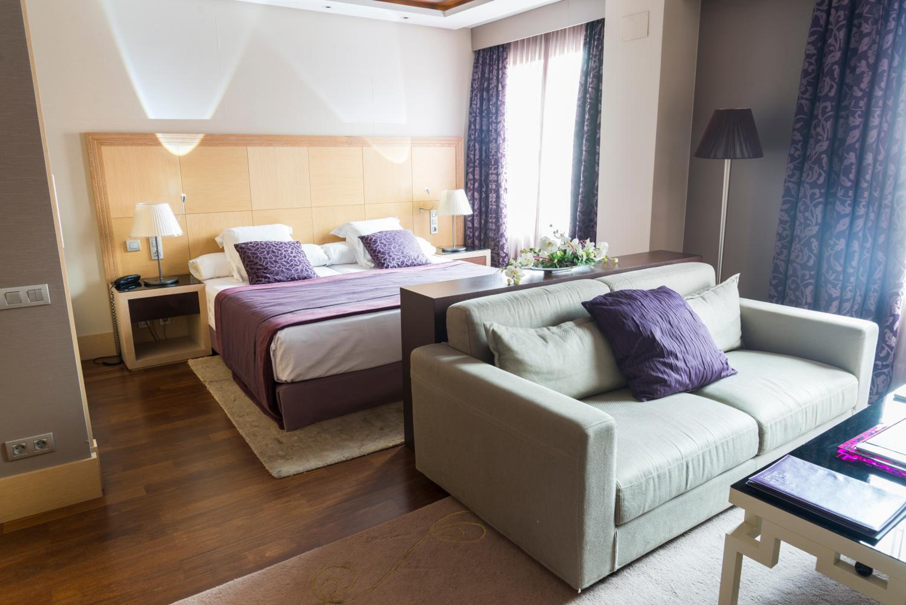 Premium Suite - Photo 11
