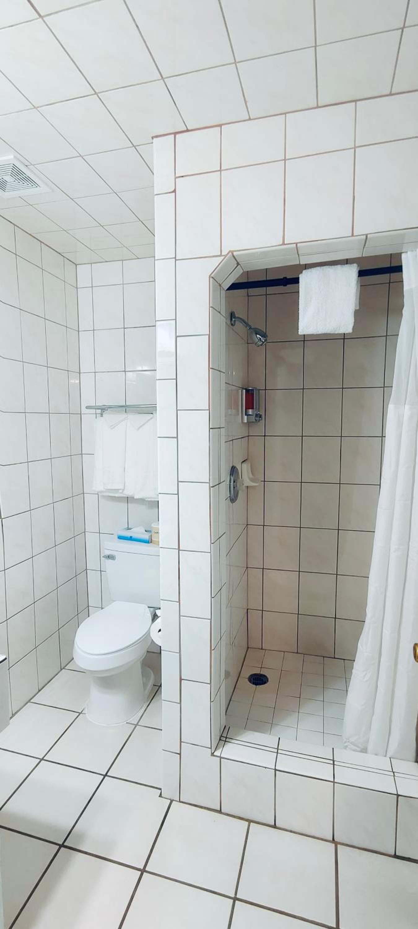 King Room with Mobility Access and Bathtub with Grab Bars, Non-Smoking photo 2