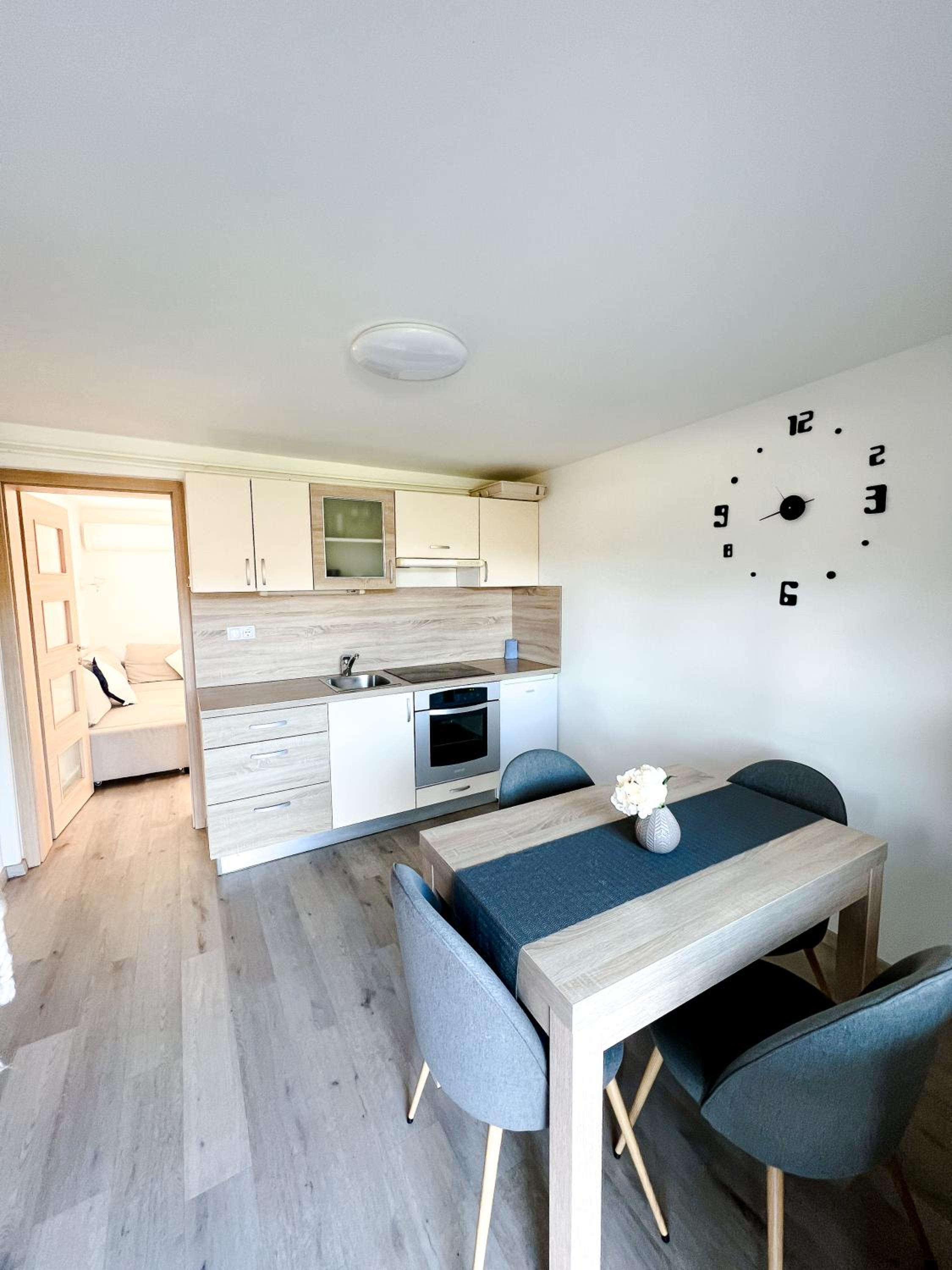 Apartment with Terrace photo 3