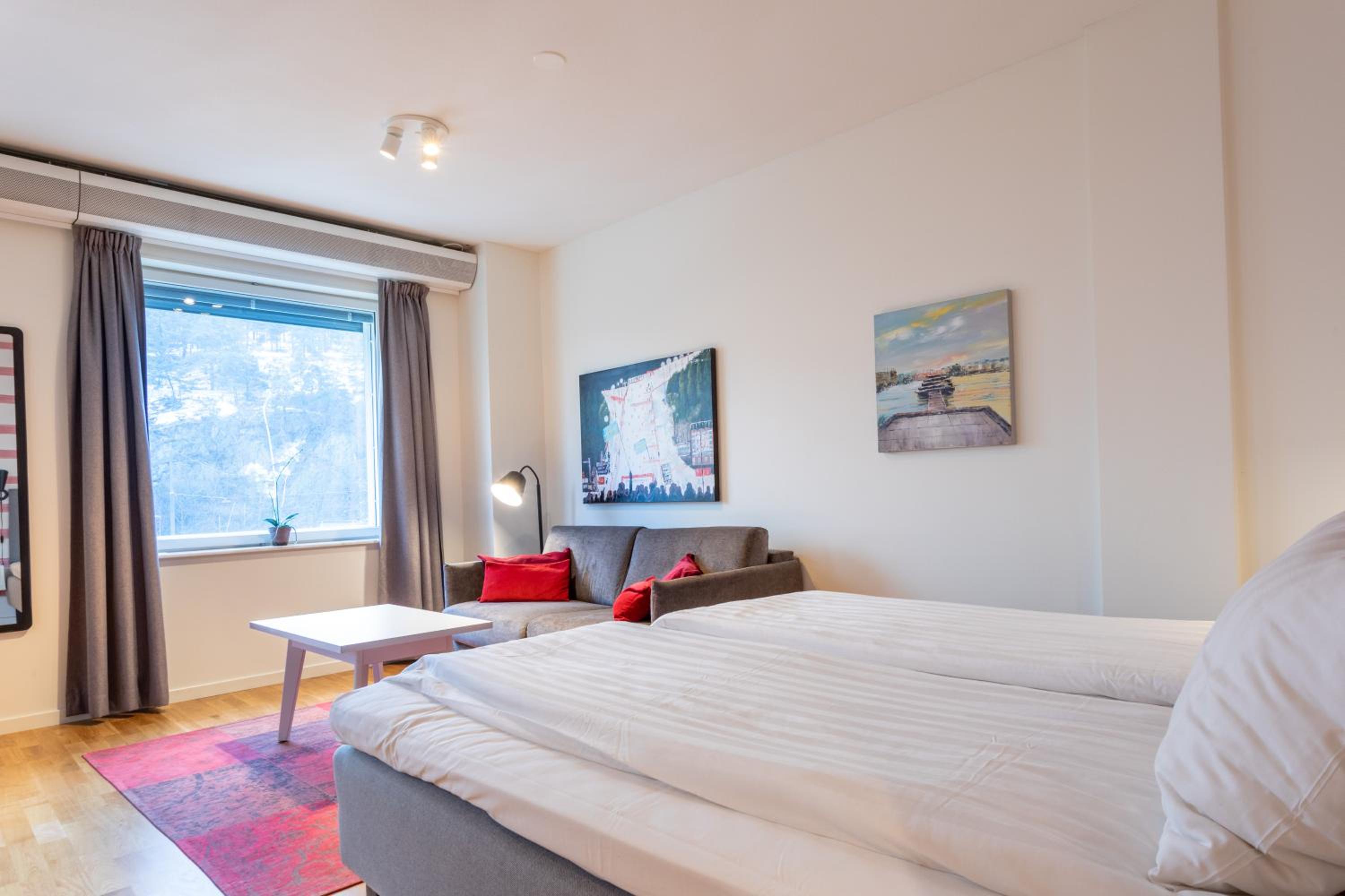 Studio with Sofa Bed