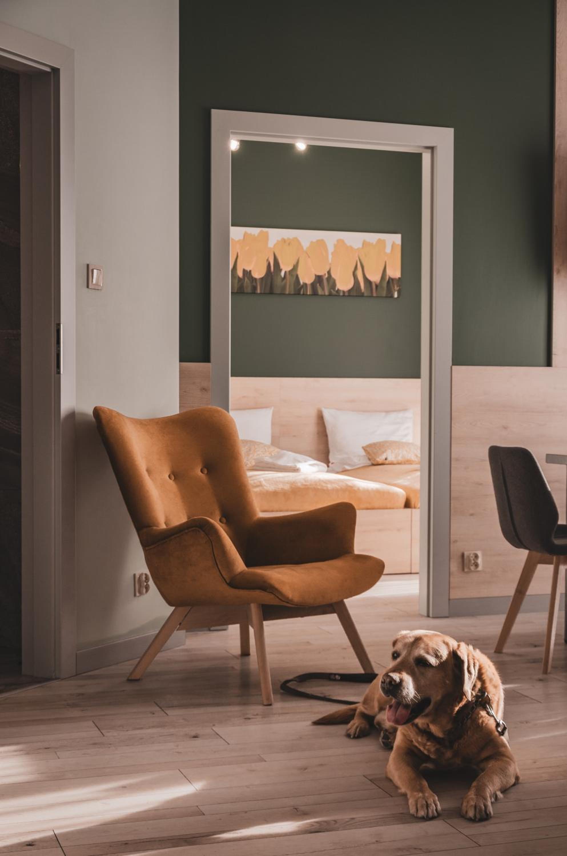 Two-Bedroom Apartment - pet friendly - Photo 1