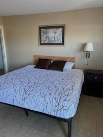 King Room photo 2