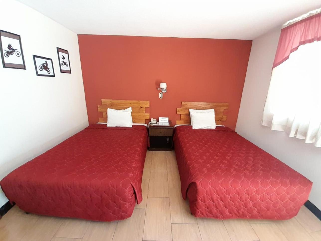Twin Room photo 2